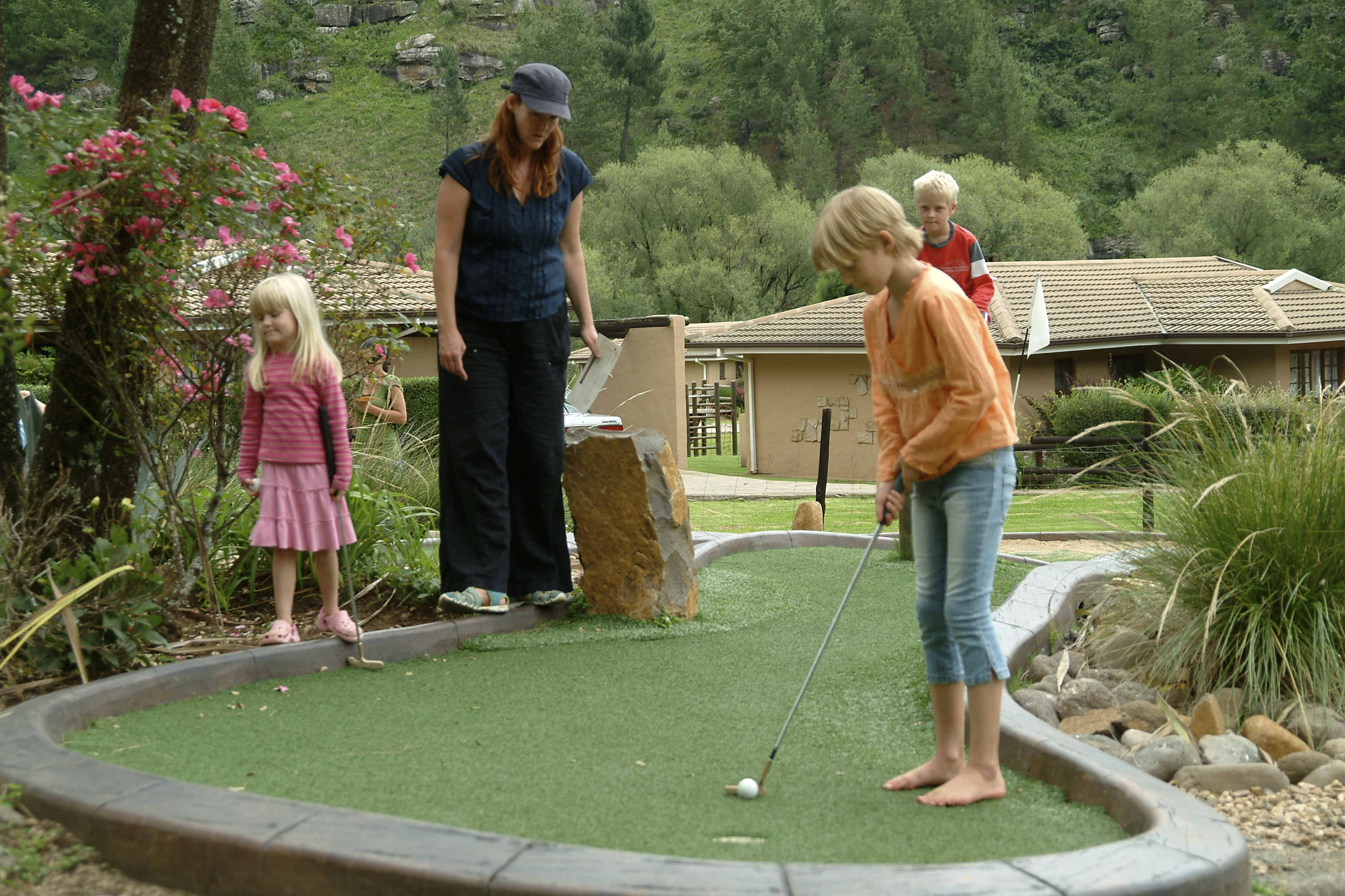 Sports and Entertainment