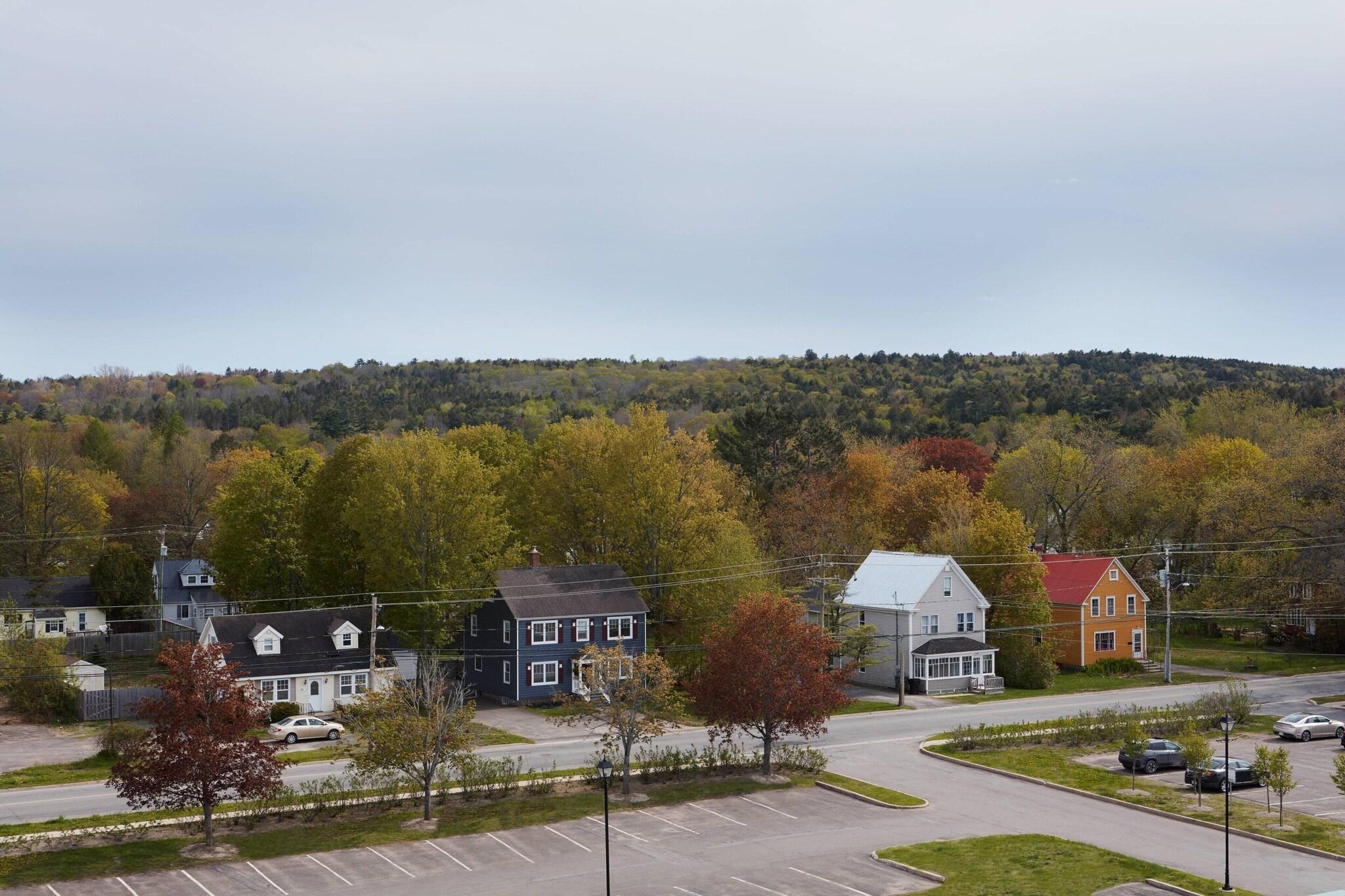 Double Two Queen Beds