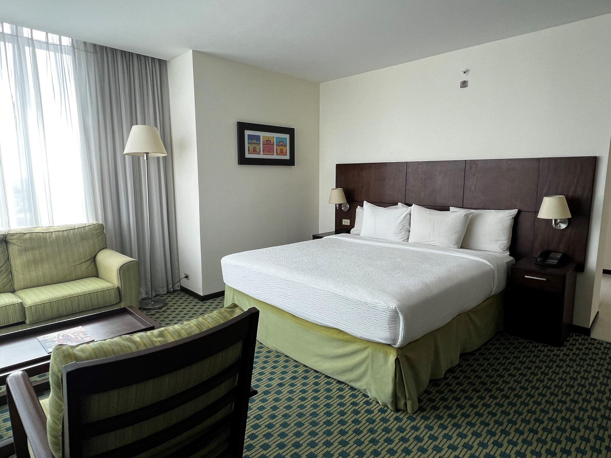 Double City View King Bed