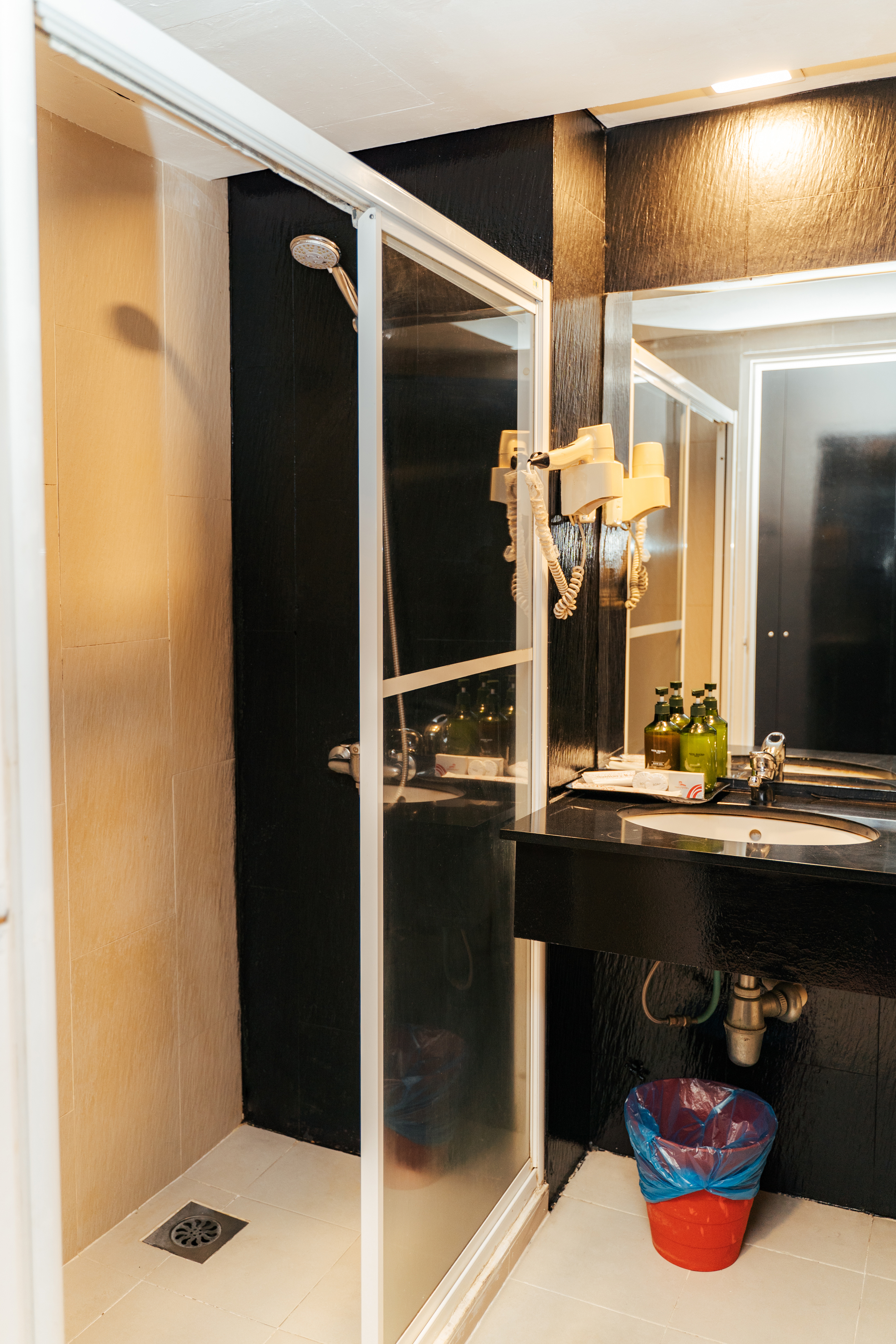 Suite Executive One Bedroom