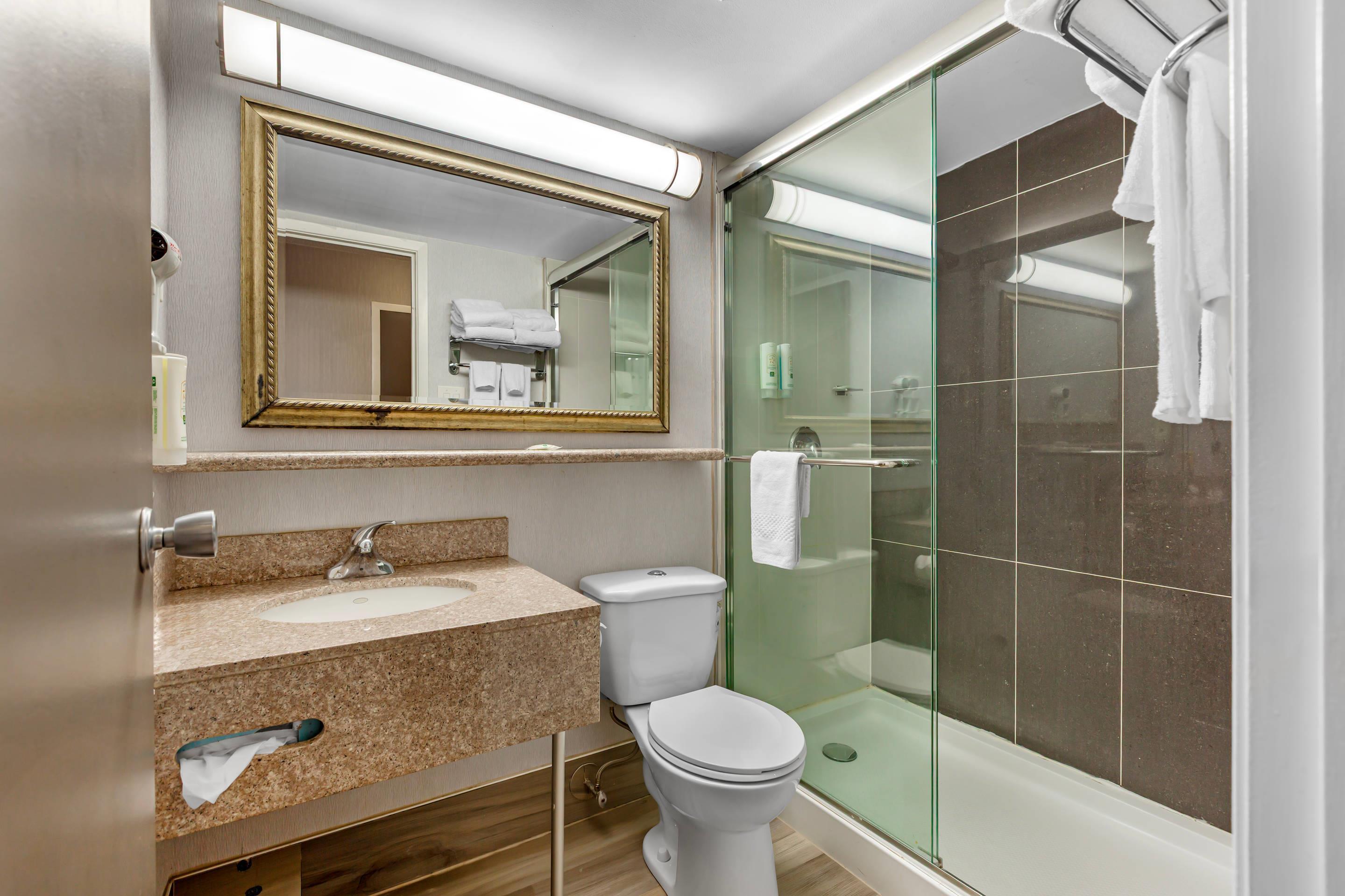 Suite Queen Bed Non Smoking