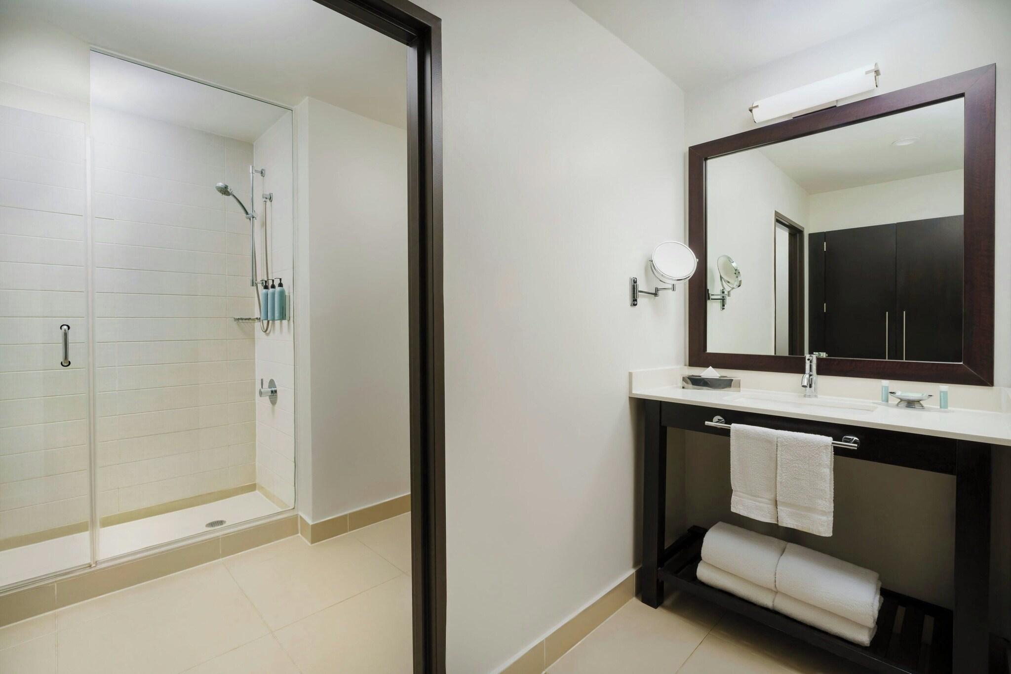 Suite Executive Non Smoking