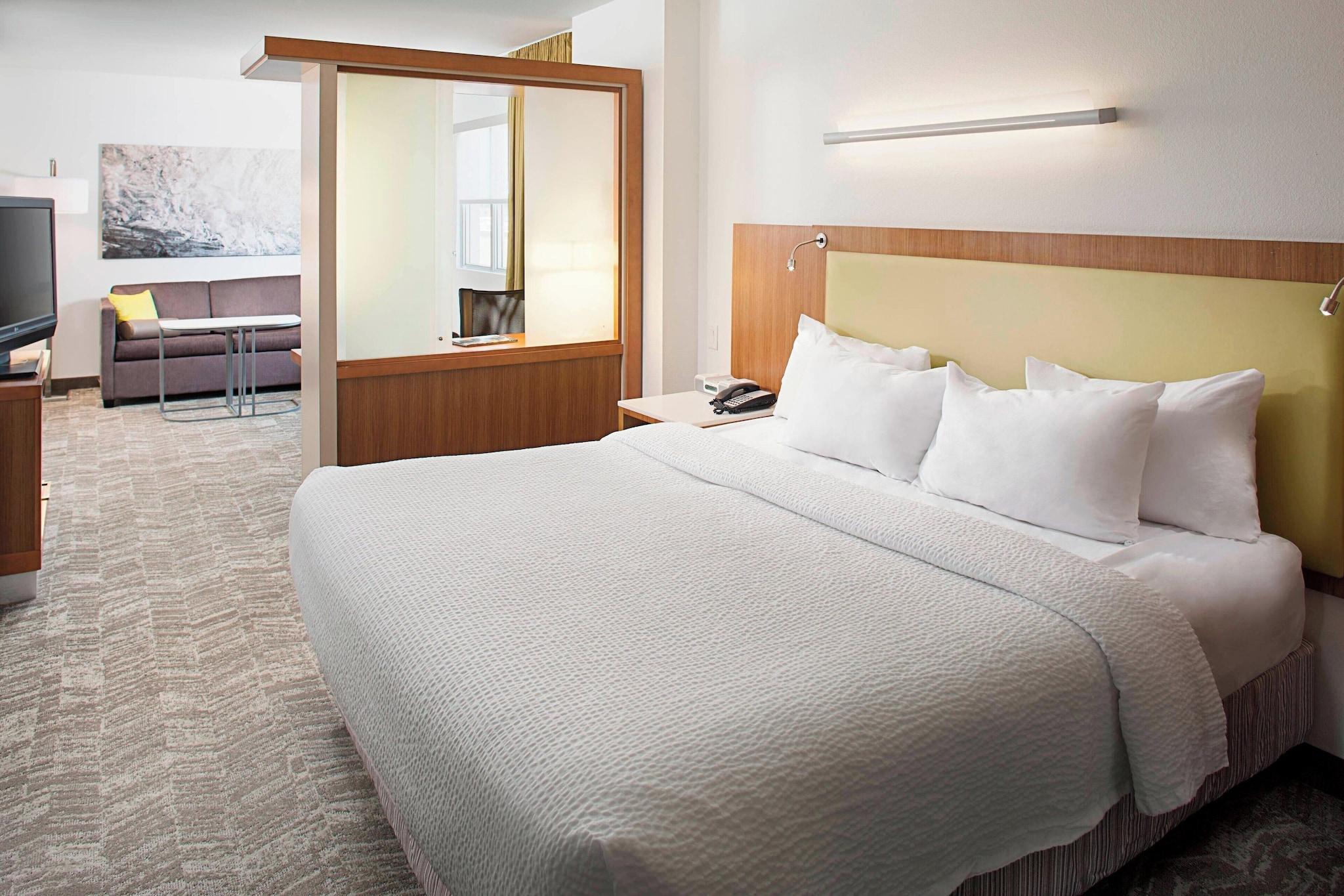 Studio Accessible King Size Bed