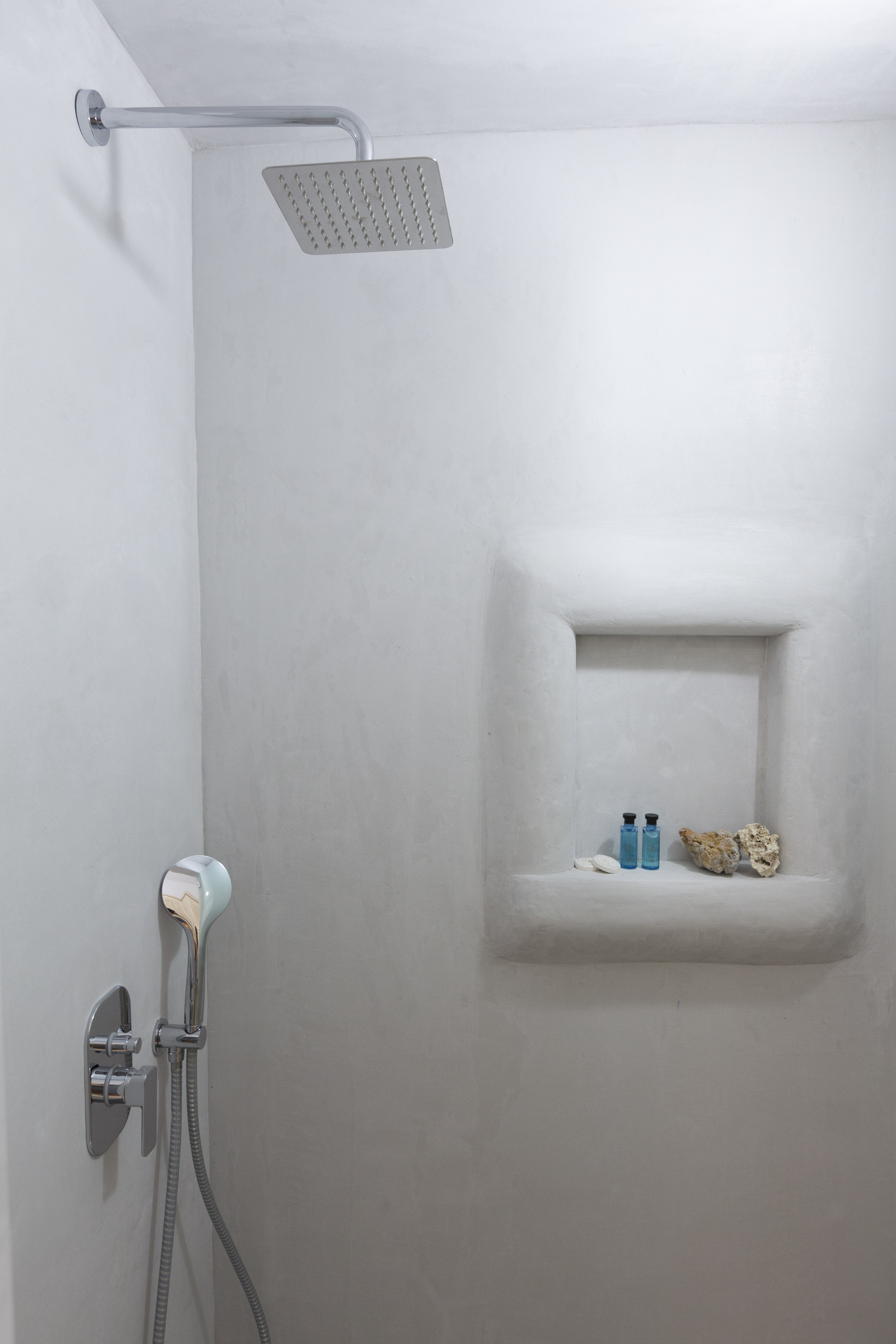 Double or Twin Economy