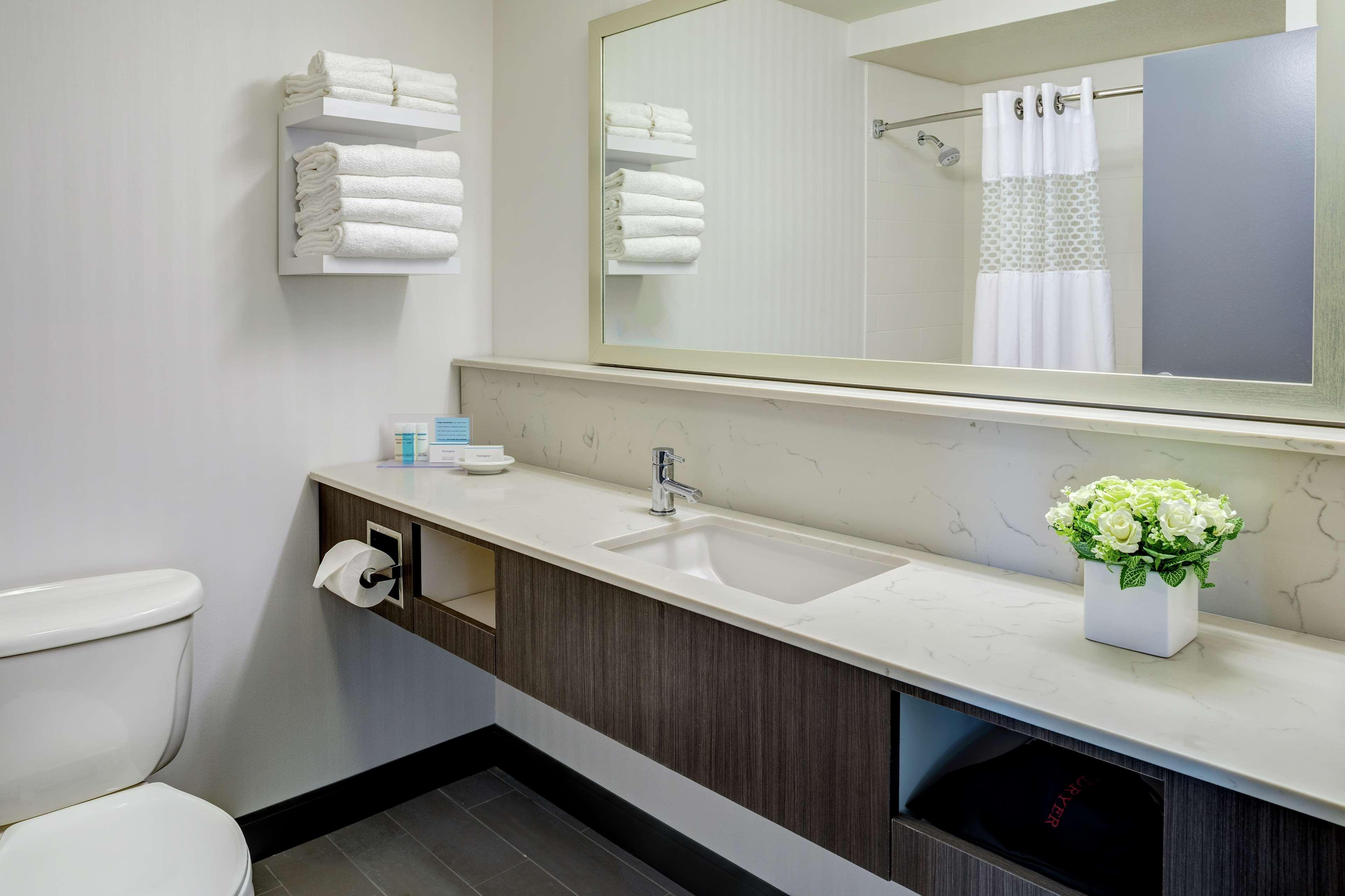 Suite King Bed Non Smoking