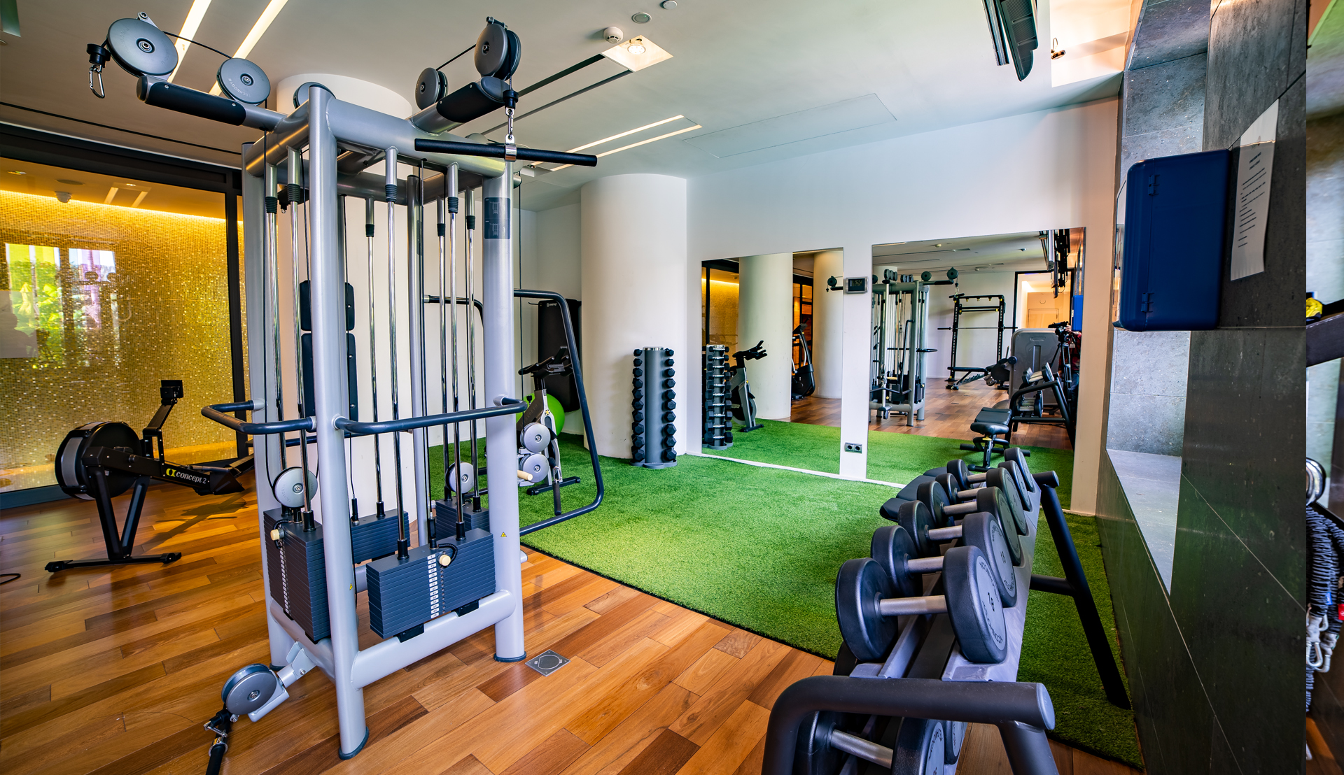 Sports and Entertainment