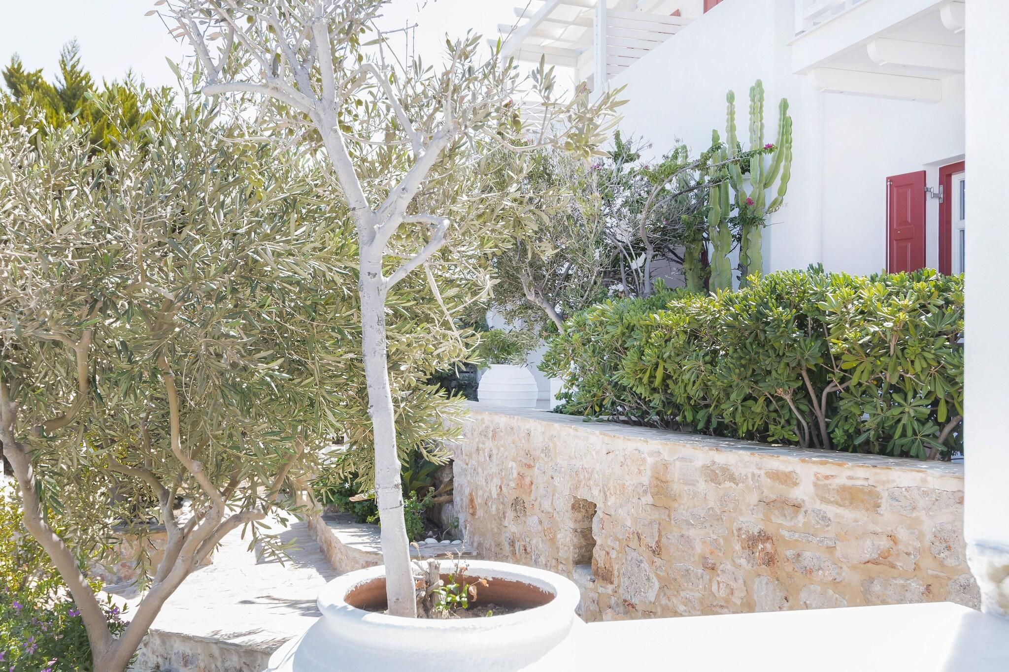 Junior Suite Garden View