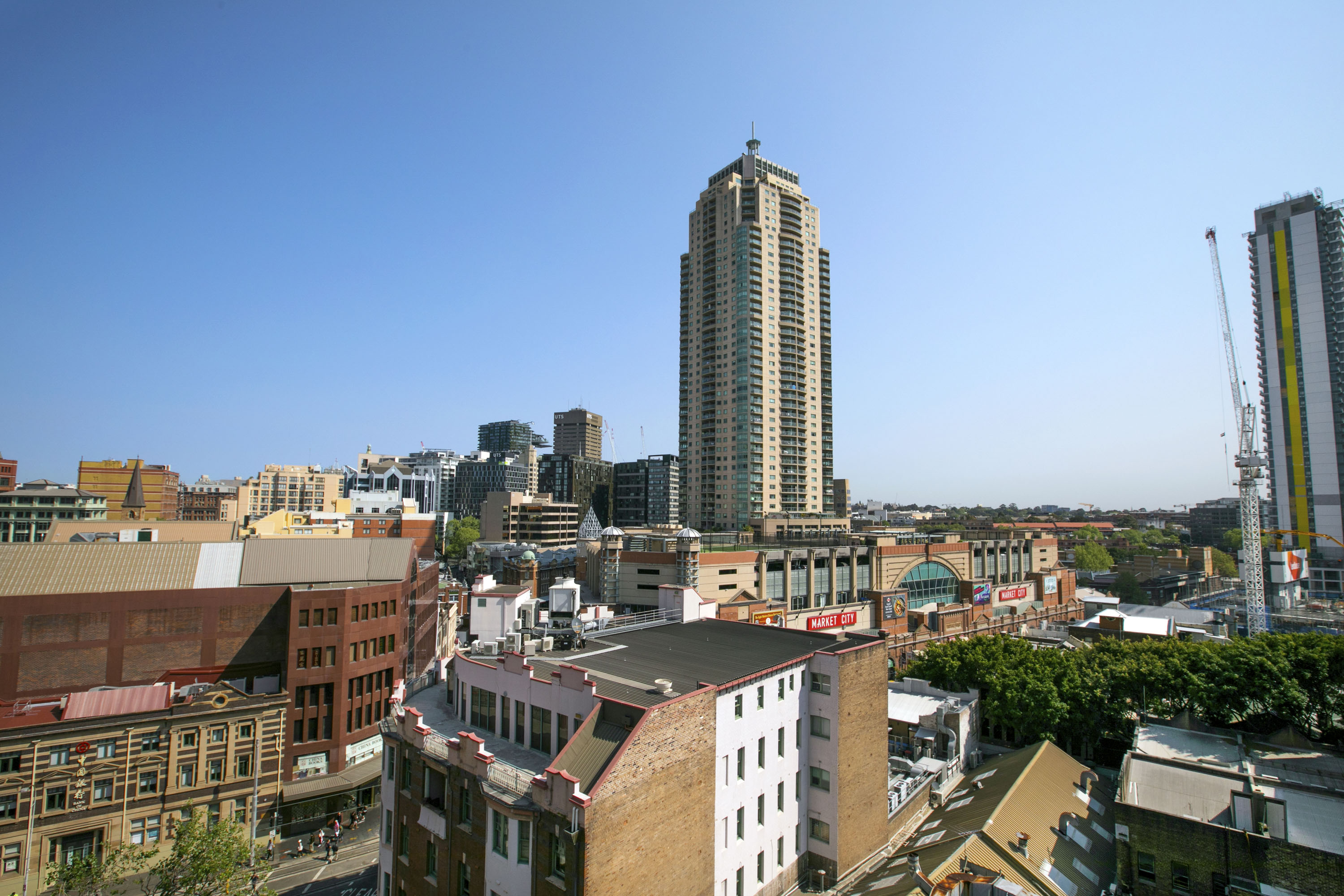 Studio Executive Queen Bed