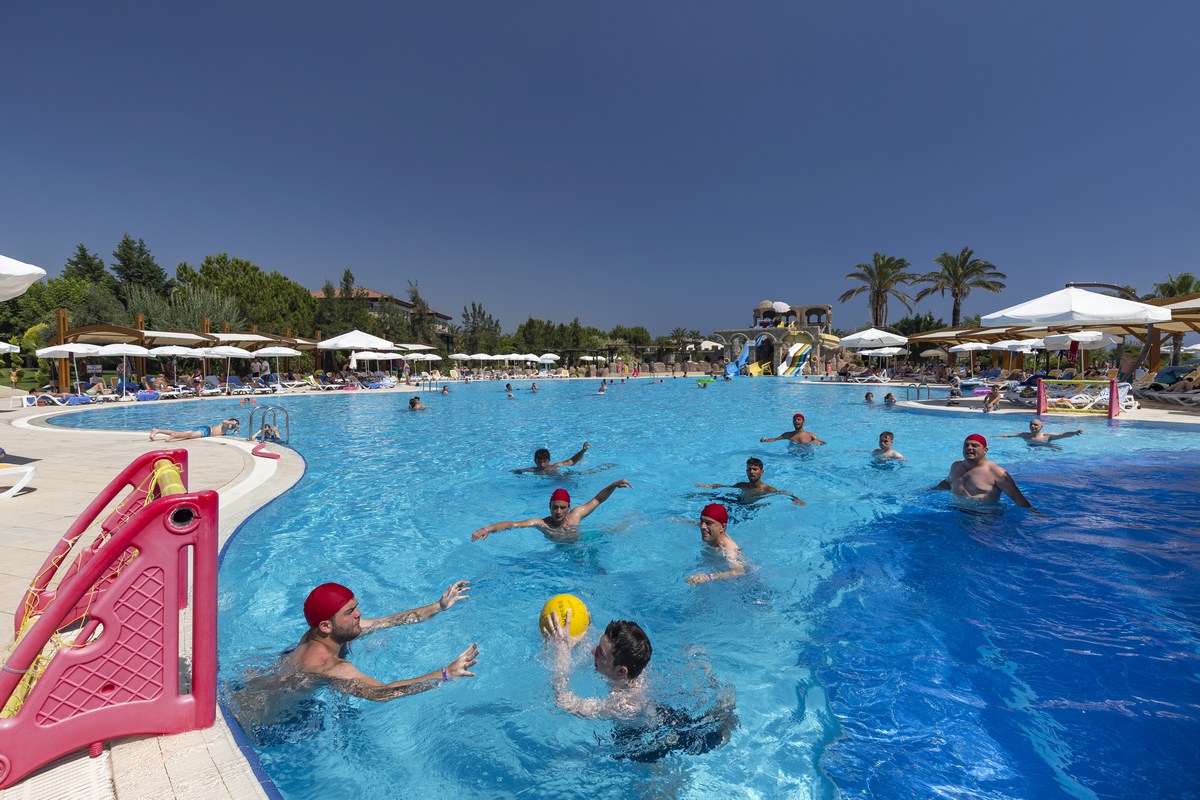 Sports and Entertainment