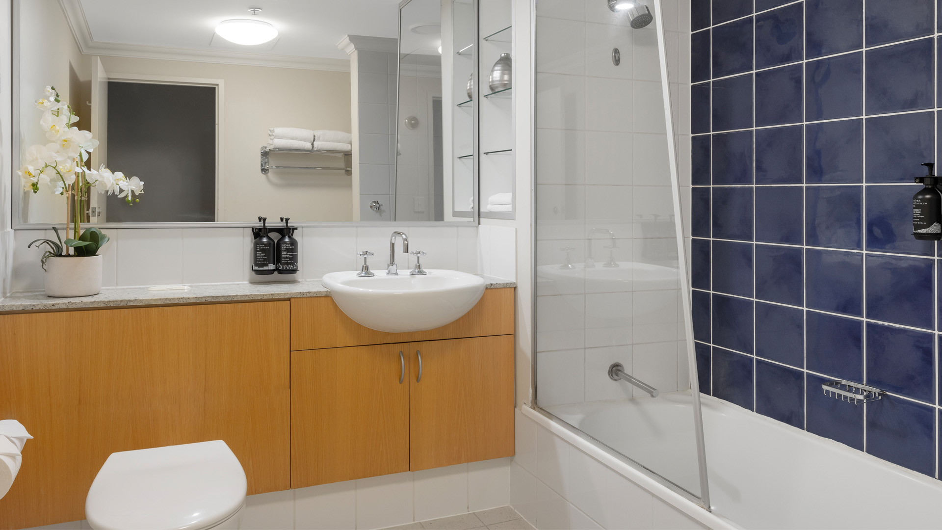 Studio Executive City View