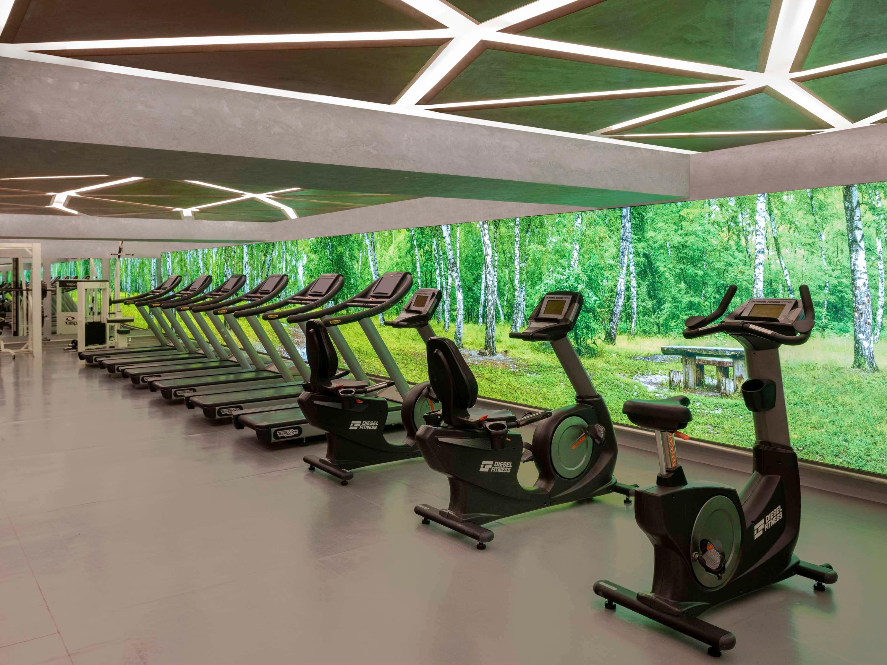 Sports and Entertainment