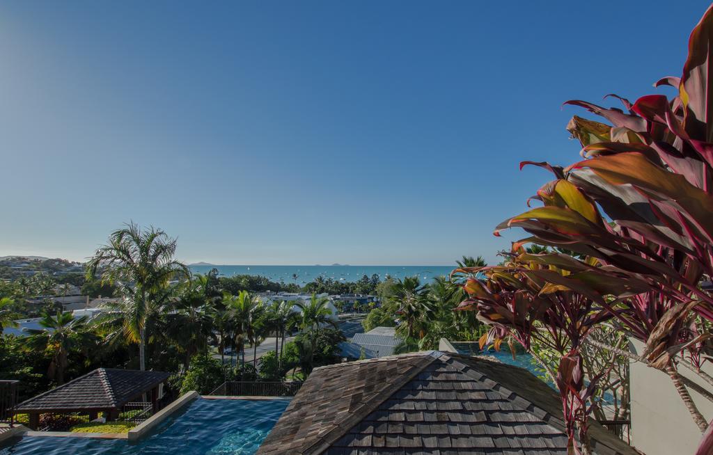 Apartment One Bedroom