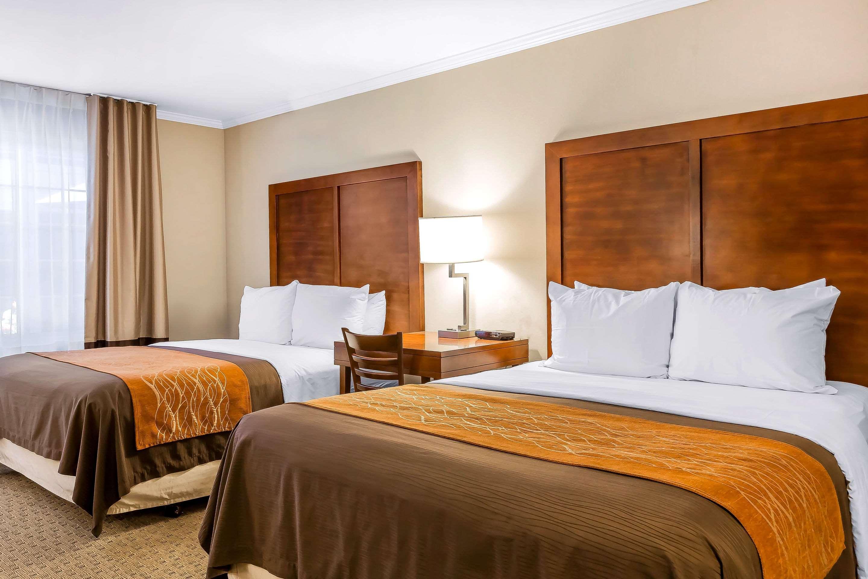 Double Two Queen Beds