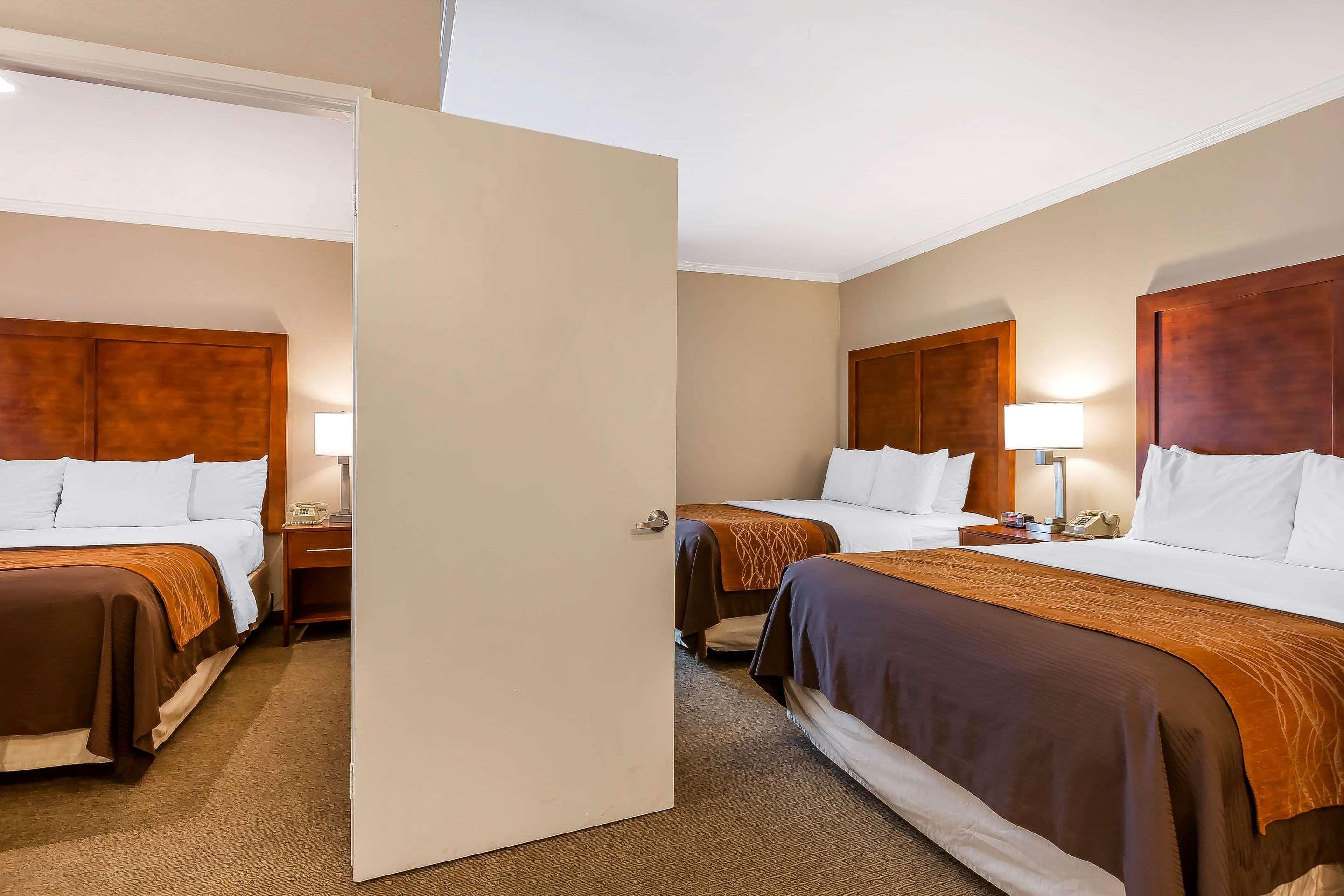 Double Two Queen Beds