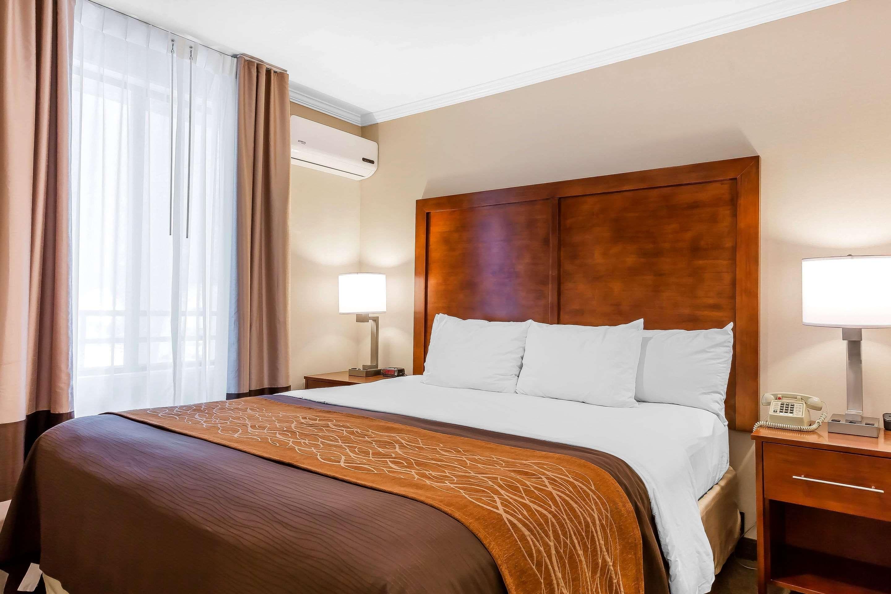 Double Two Queen Beds