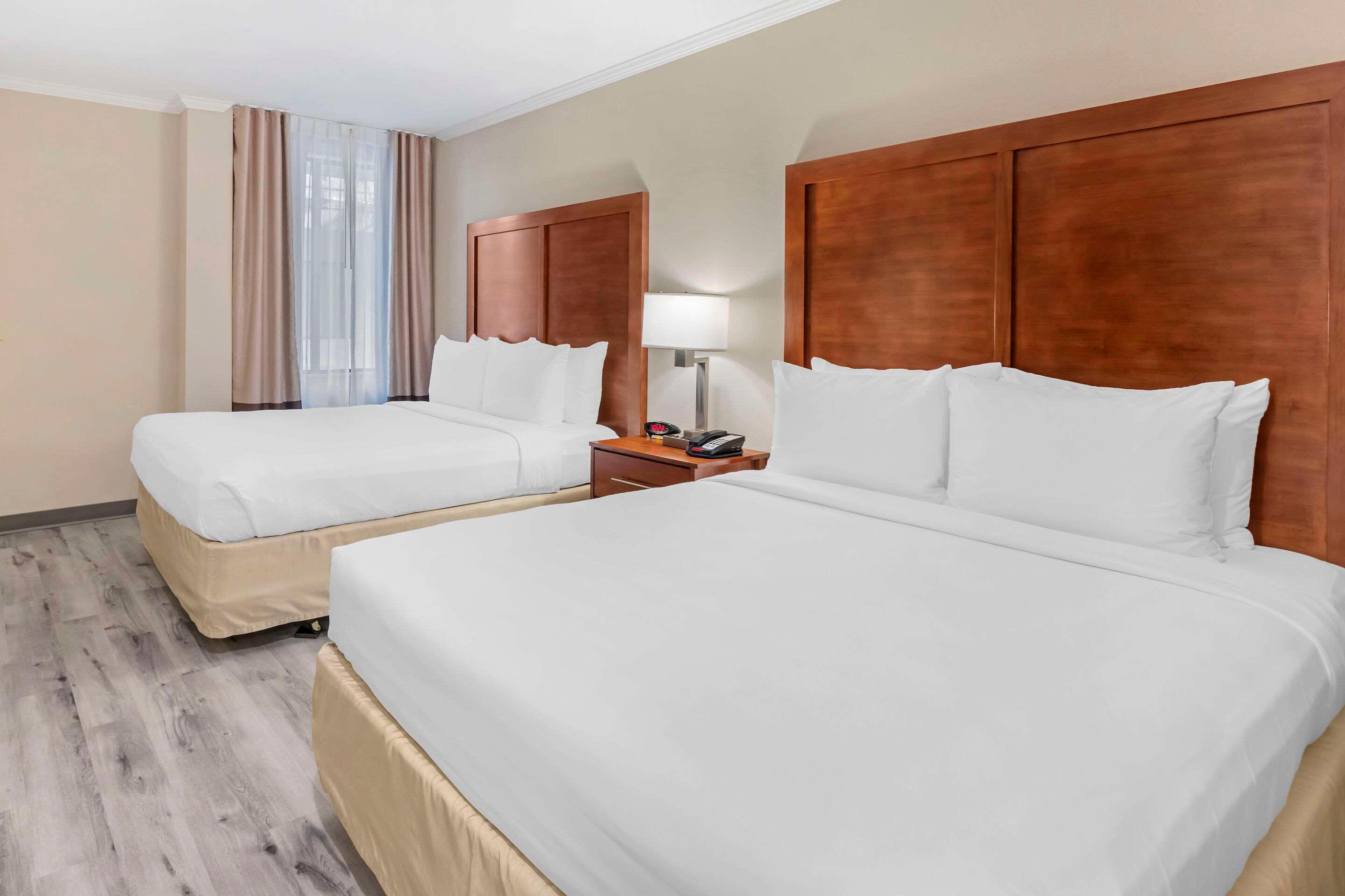 Twin Two Queen Beds Non Smoking