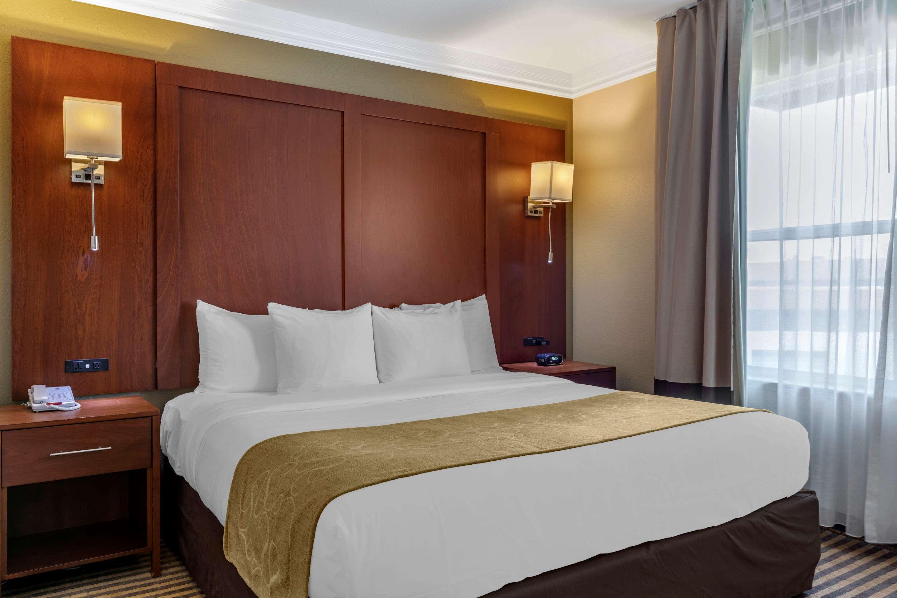 Suite King Bed Non Smoking