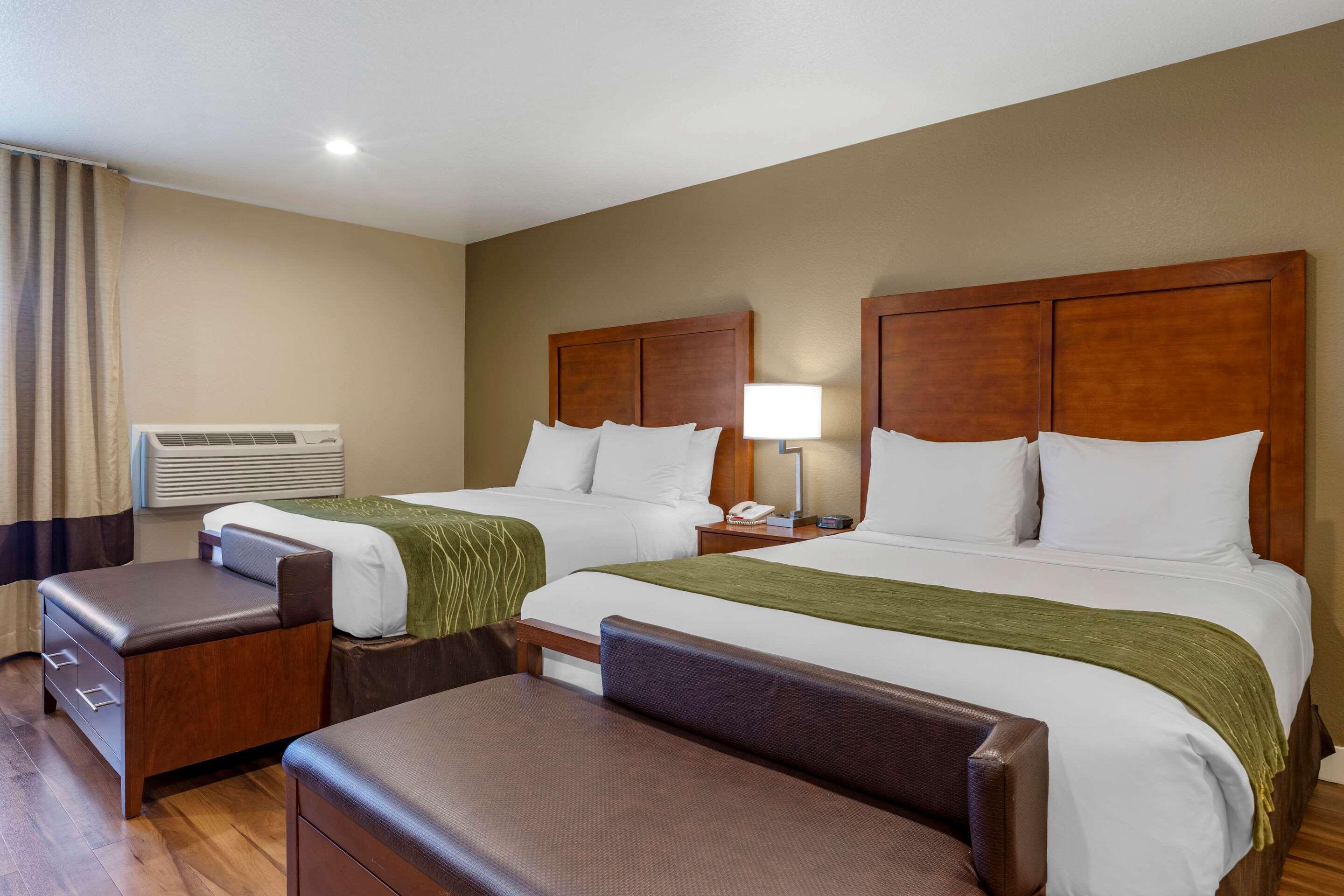 Suite Two Queen Beds