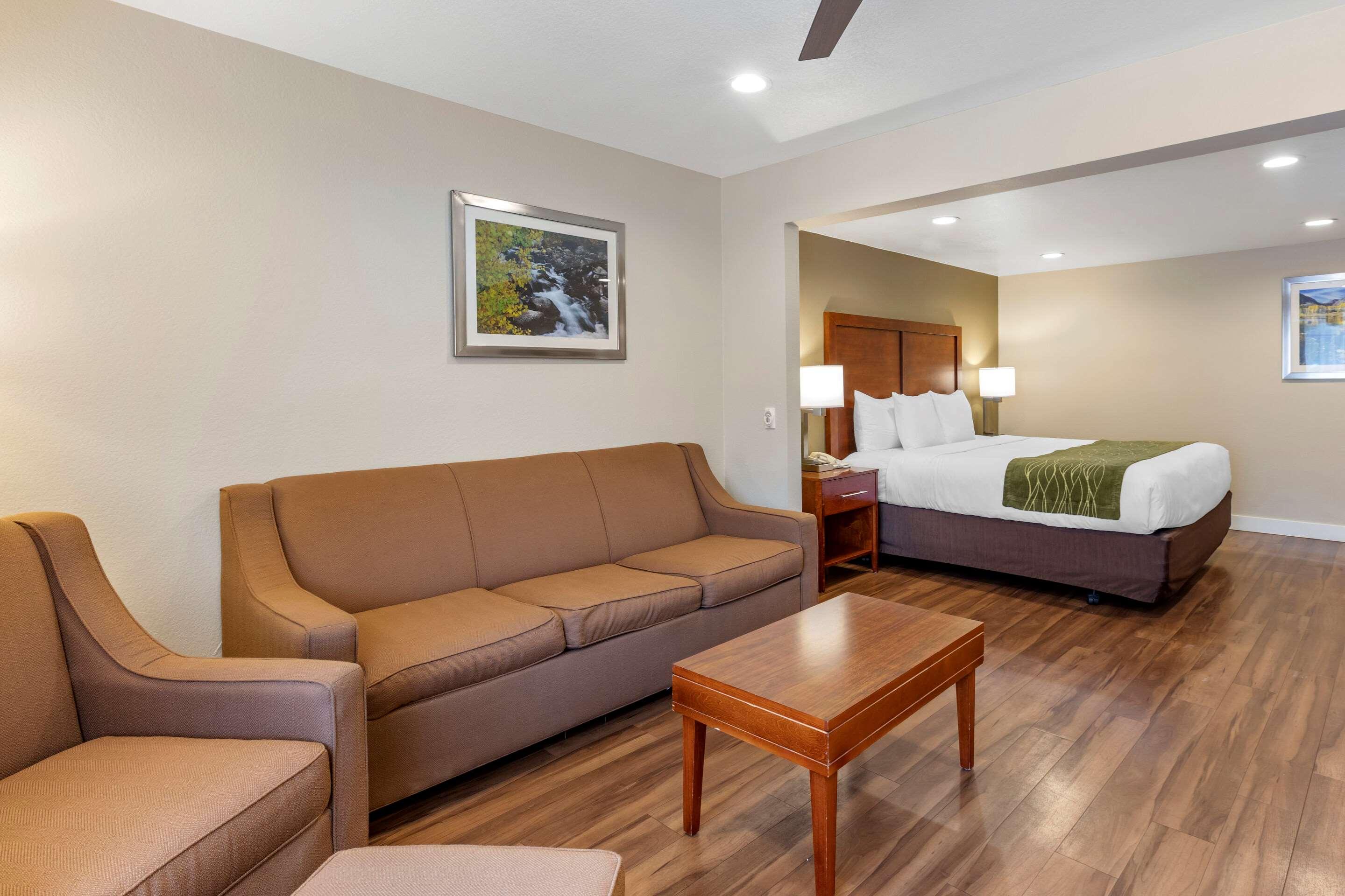 Suite King Bed Non Smoking