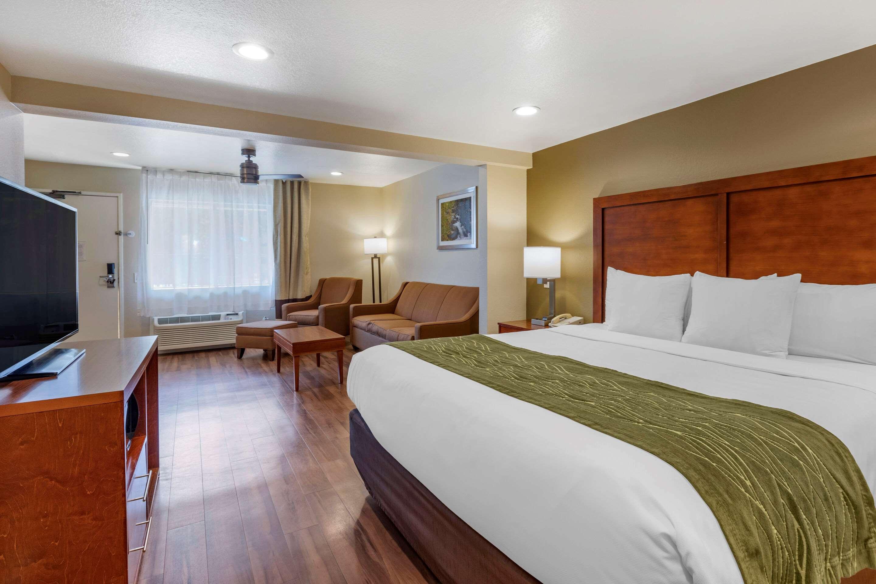 Suite King Bed Non Smoking