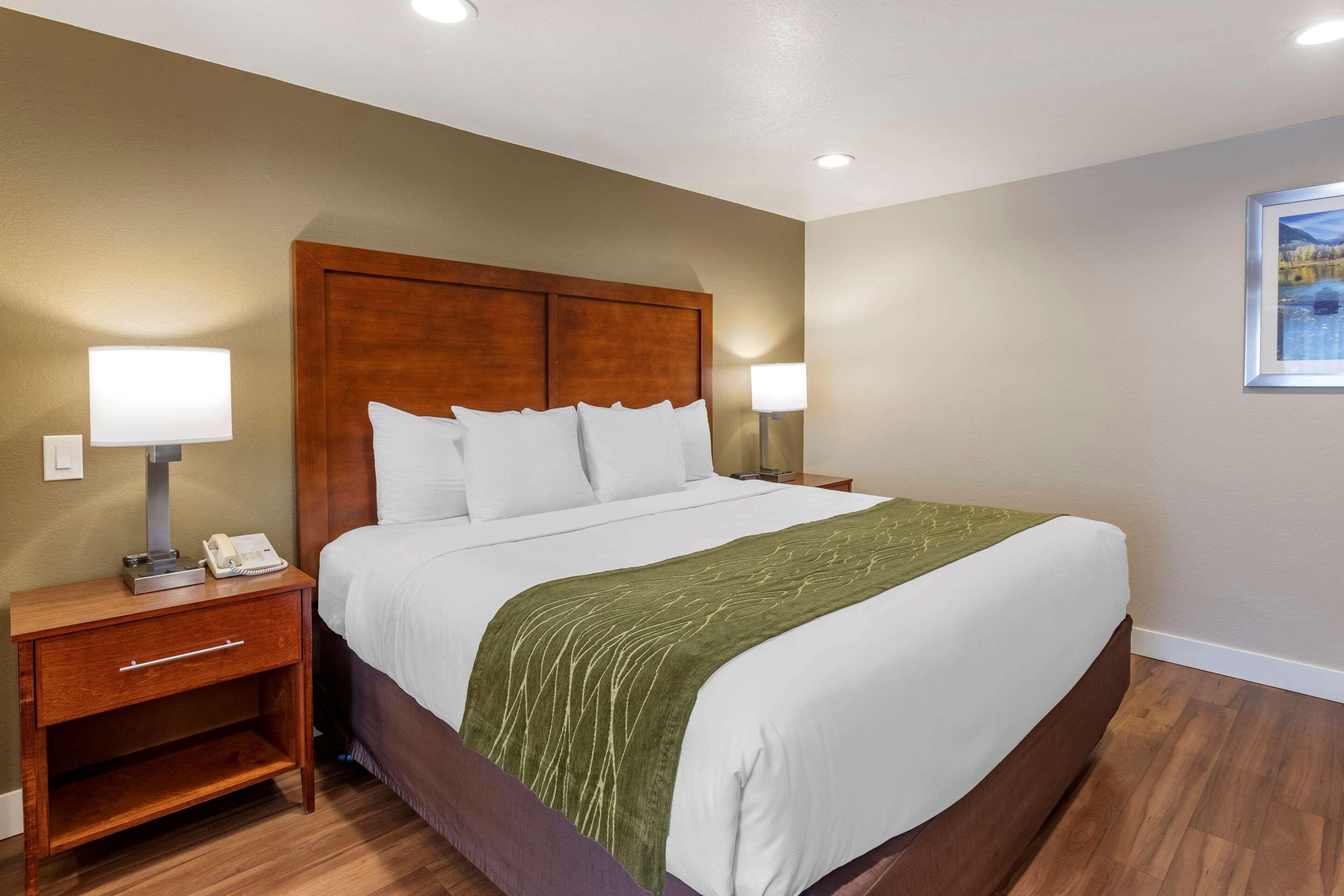 Suite King Bed Non Smoking