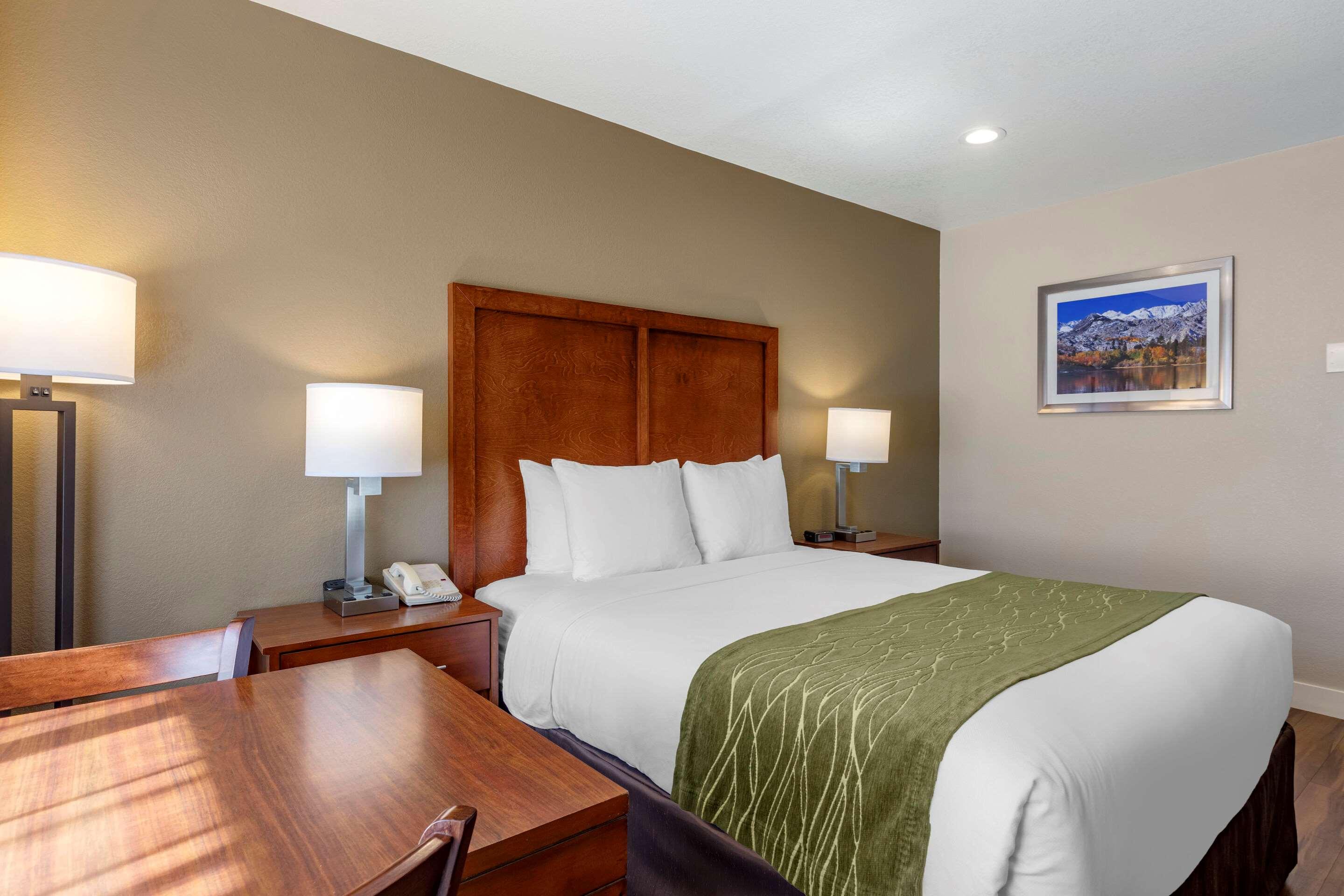 Double Queen Size Bed