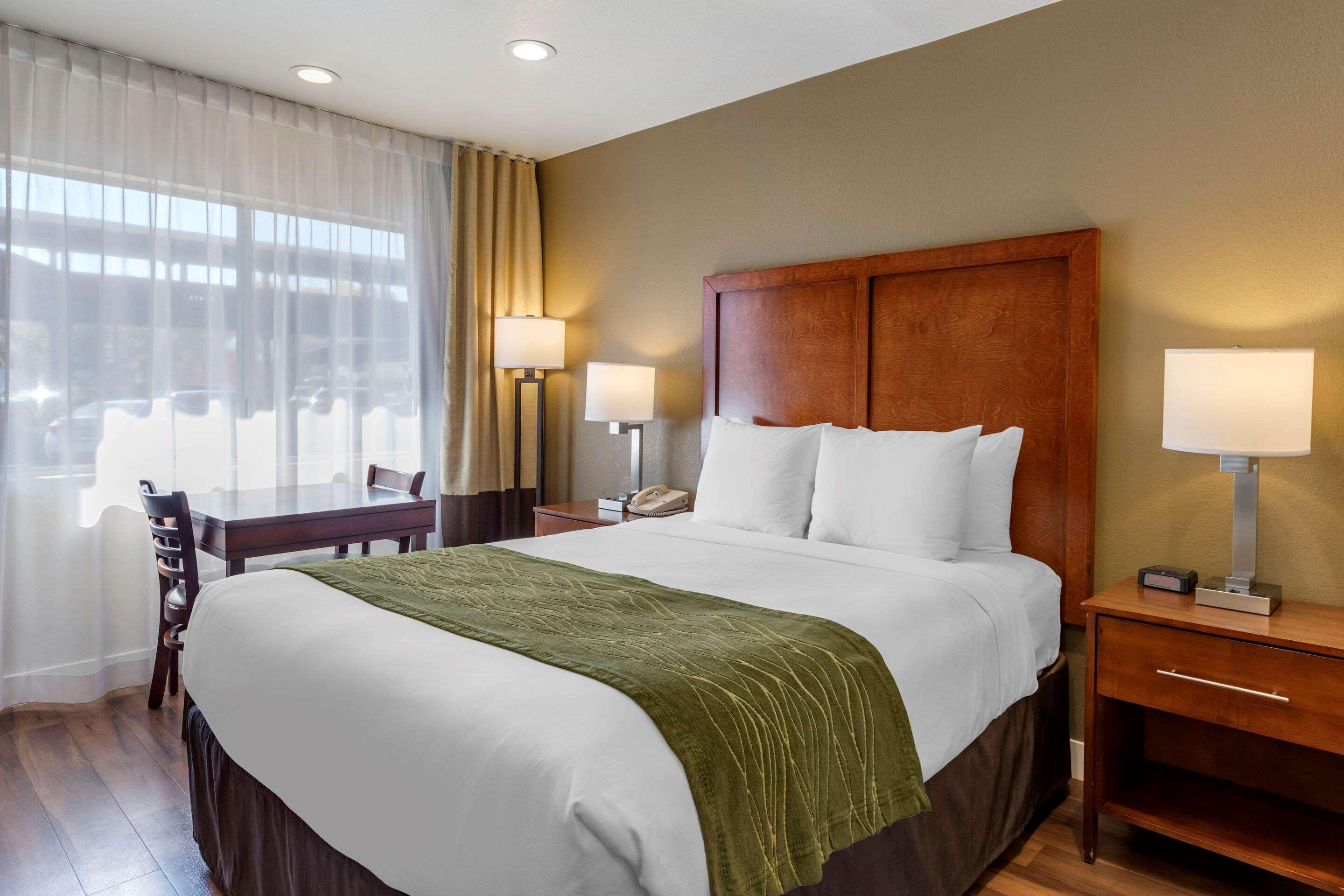 Double Queen Size Bed