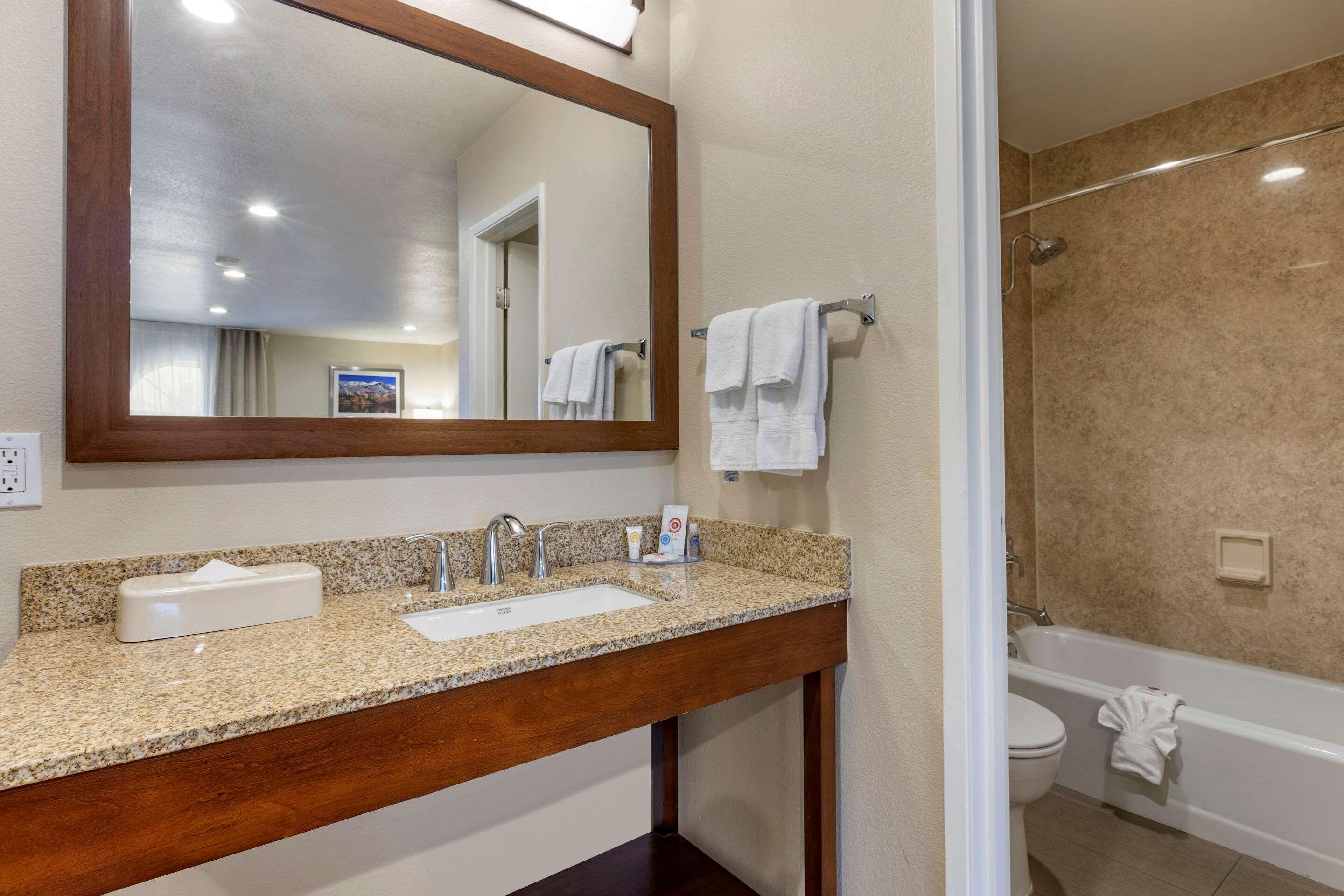 Suite King Bed Non Smoking