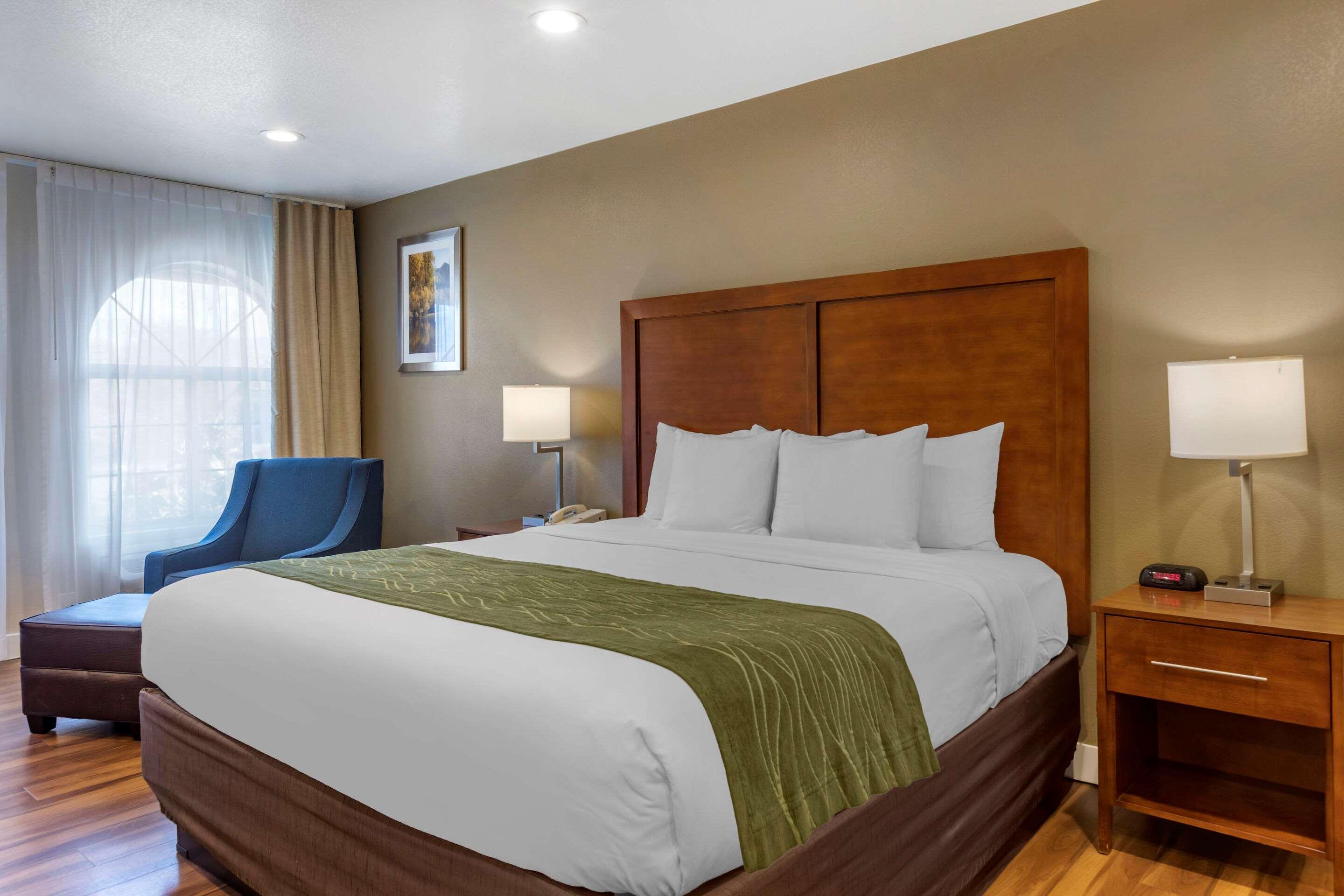 Suite King Bed Non Smoking