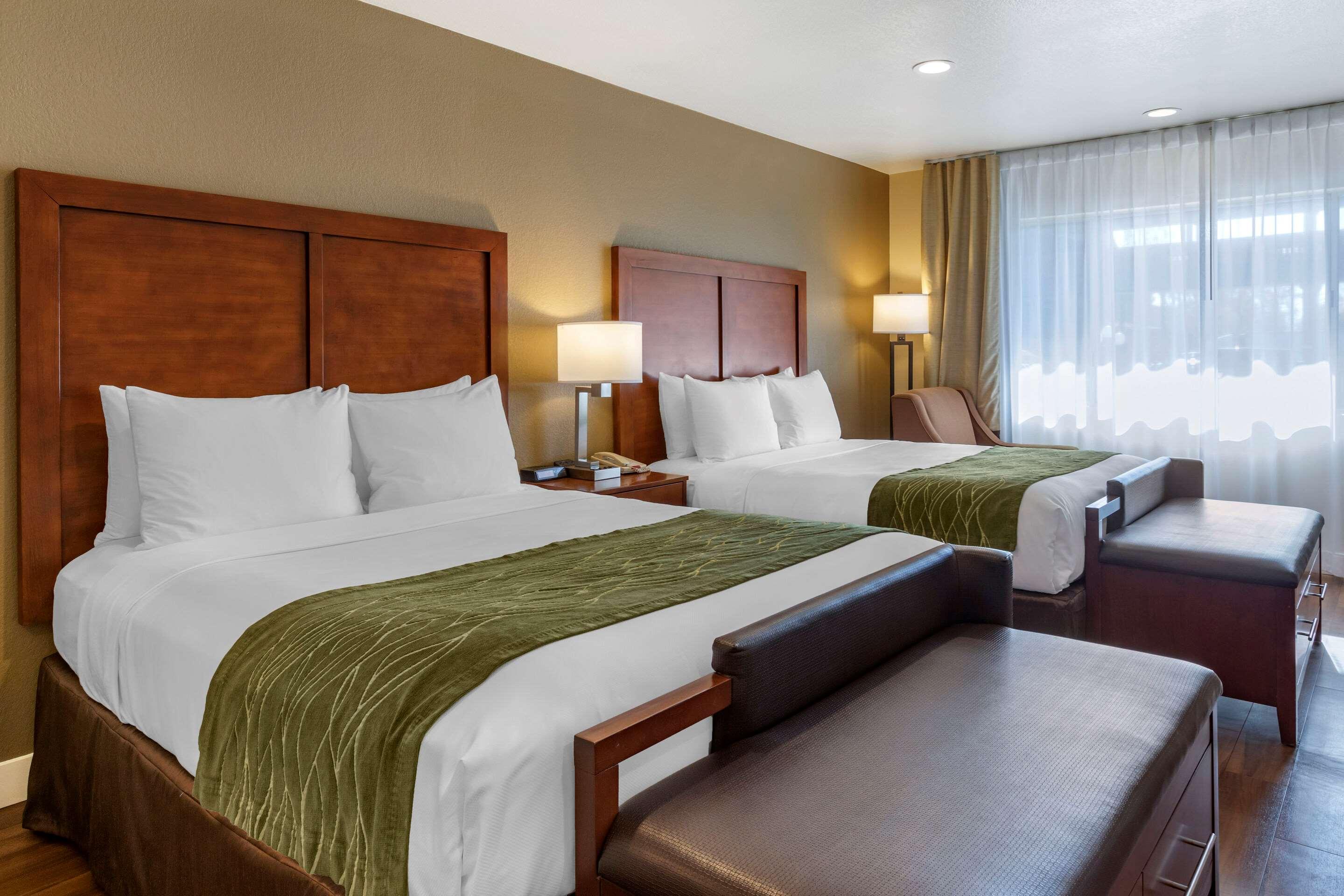 Quadruple Non Smoking