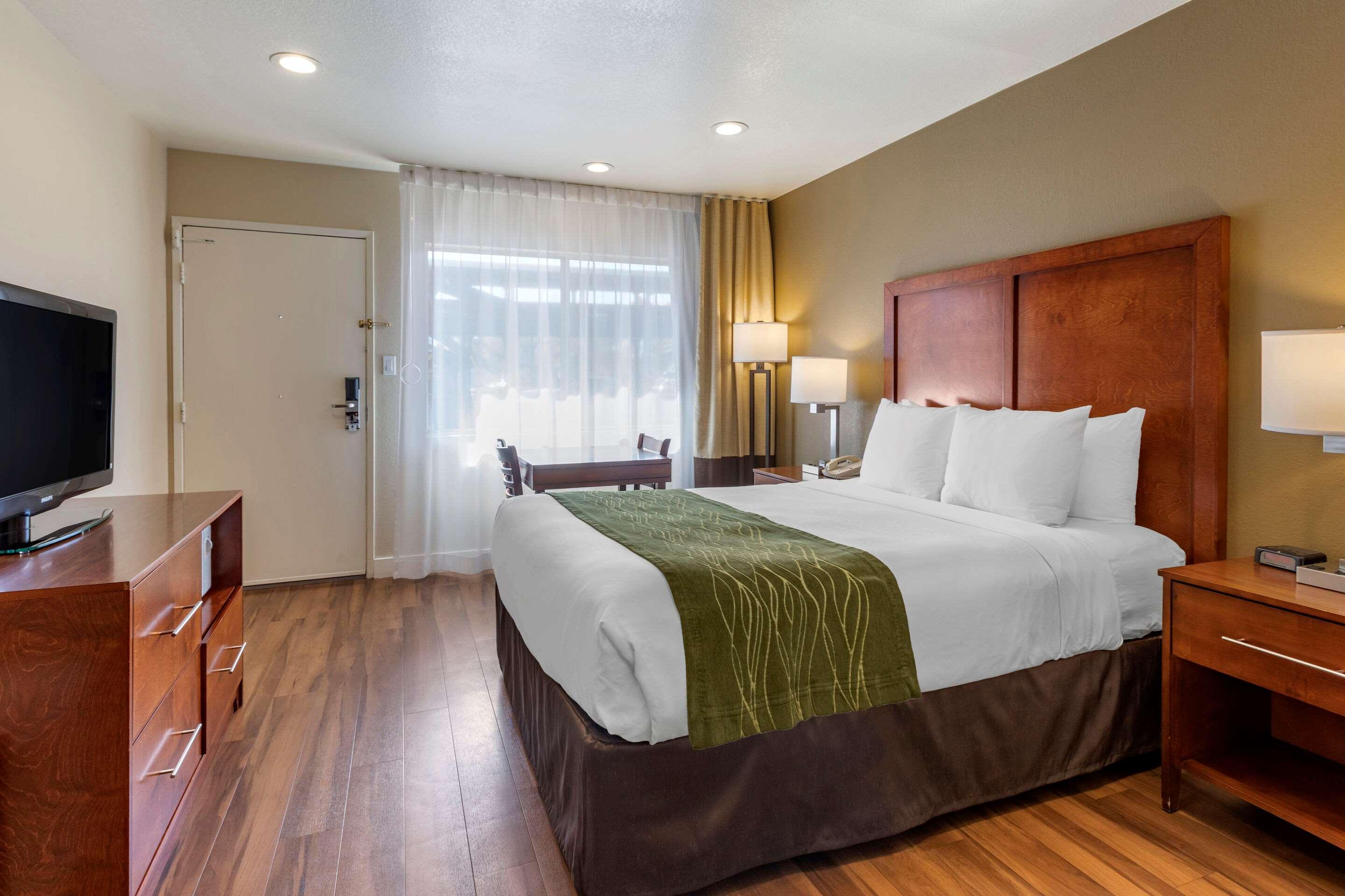 Double Queen Size Bed