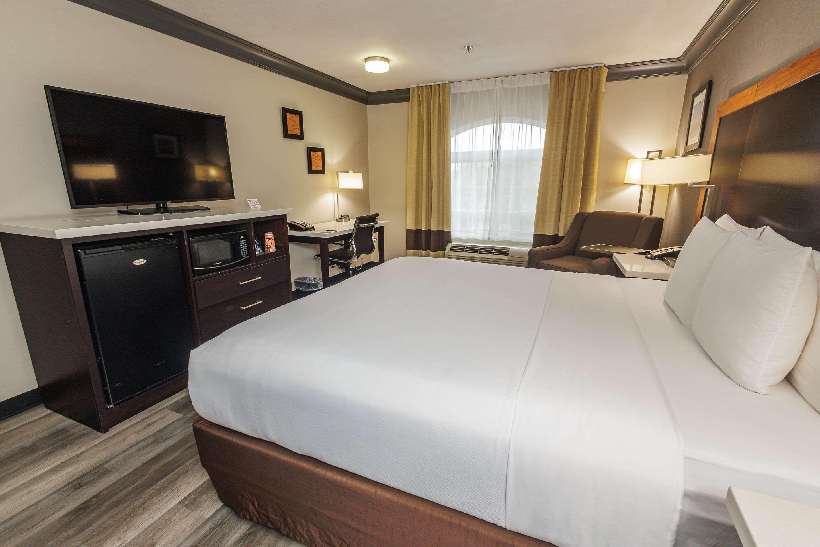 Double King Bed Non Smoking