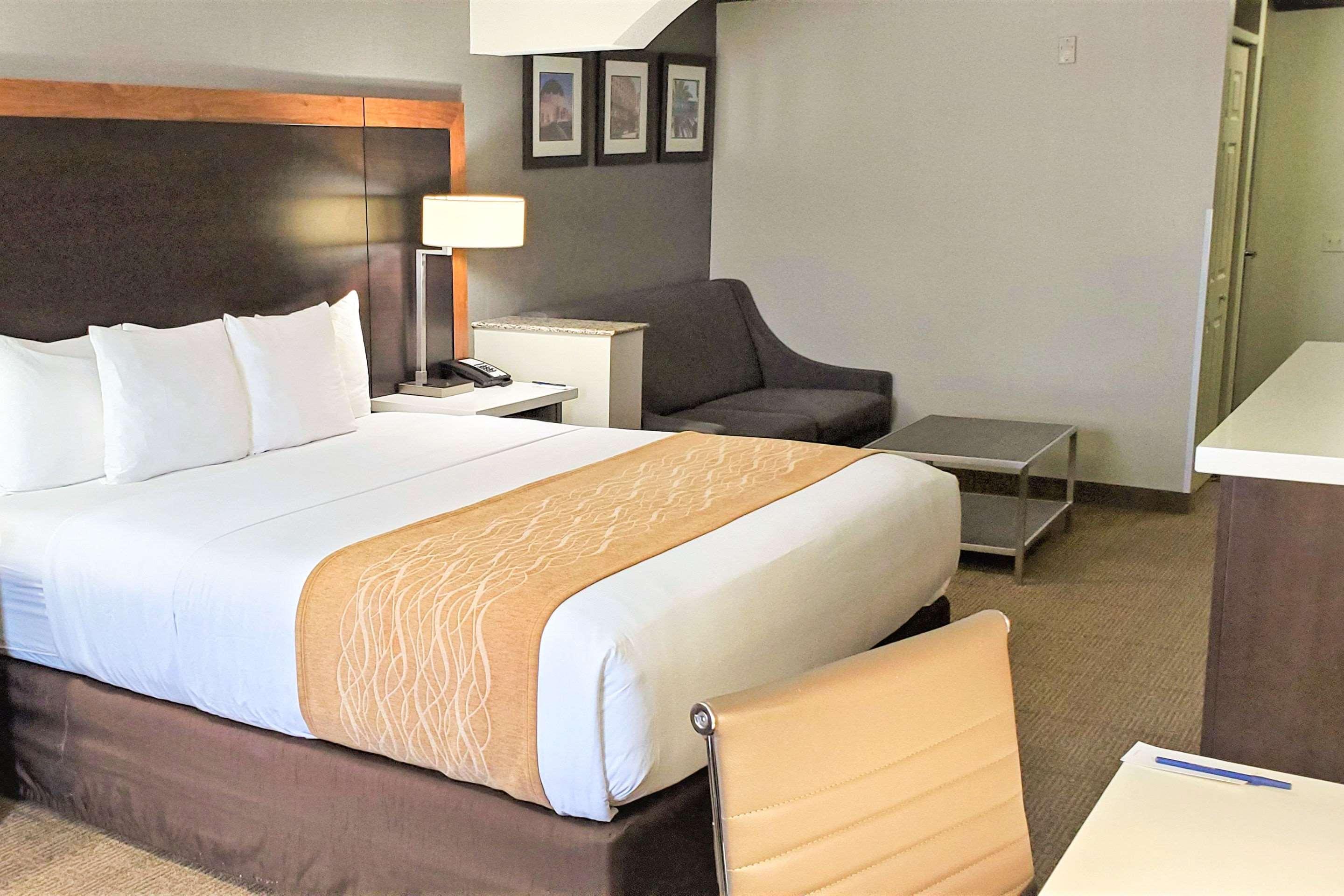 Suite King Bed Non Smoking