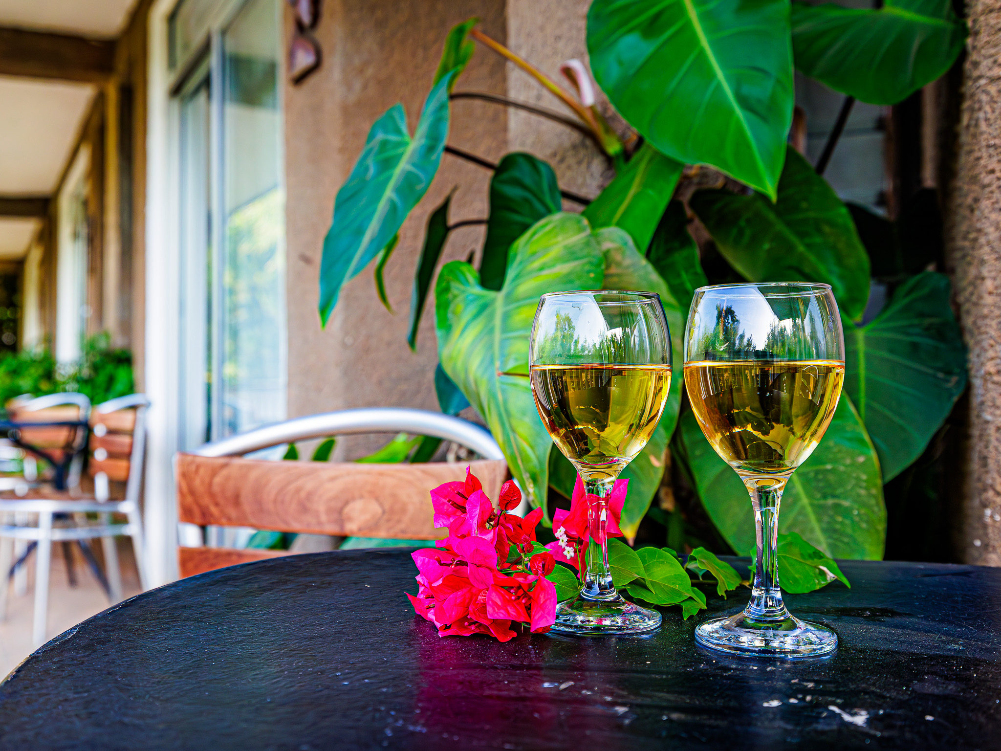 Apartment Deluxe Garden View
