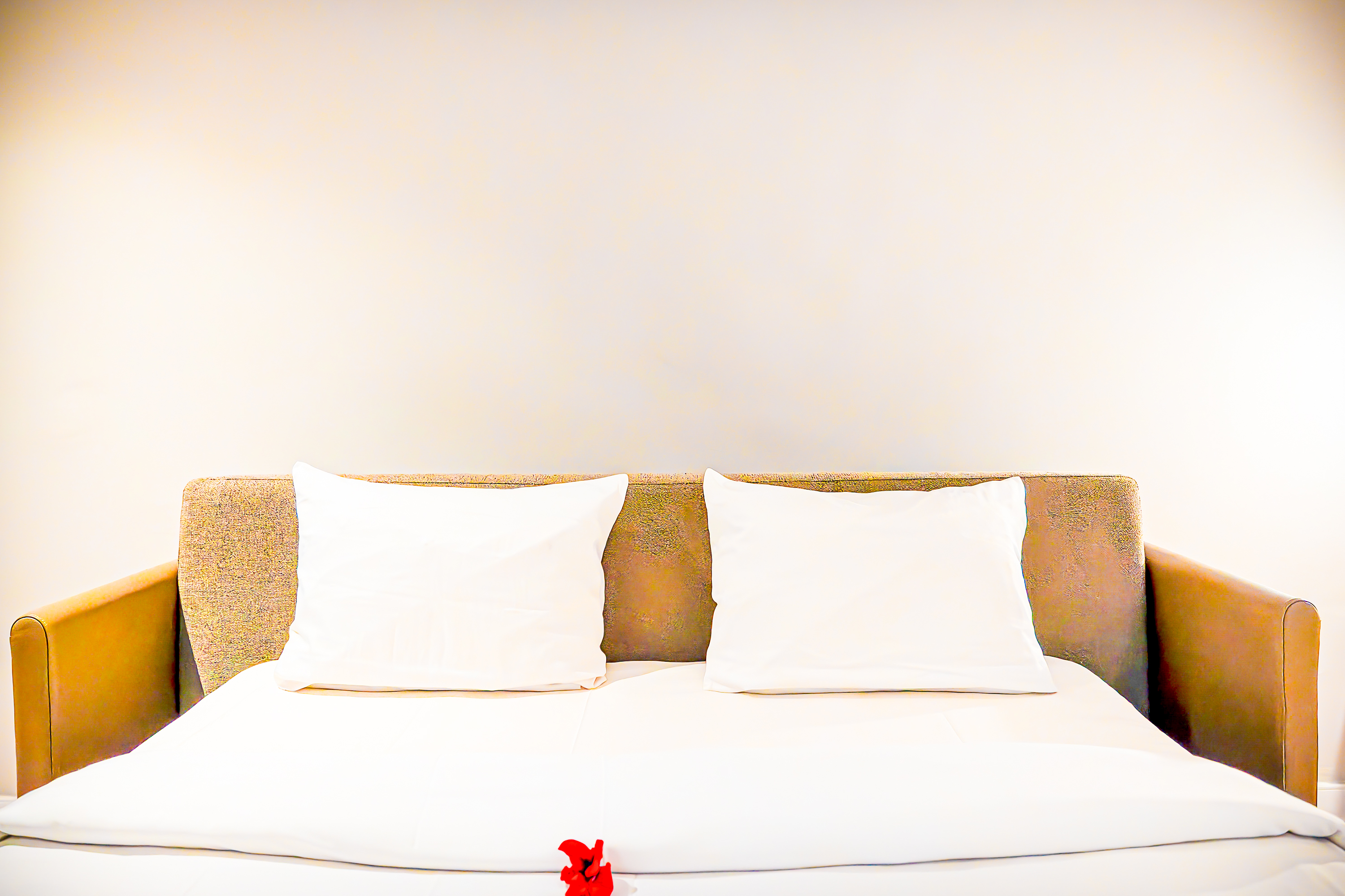 Family Room Superior Ocean View