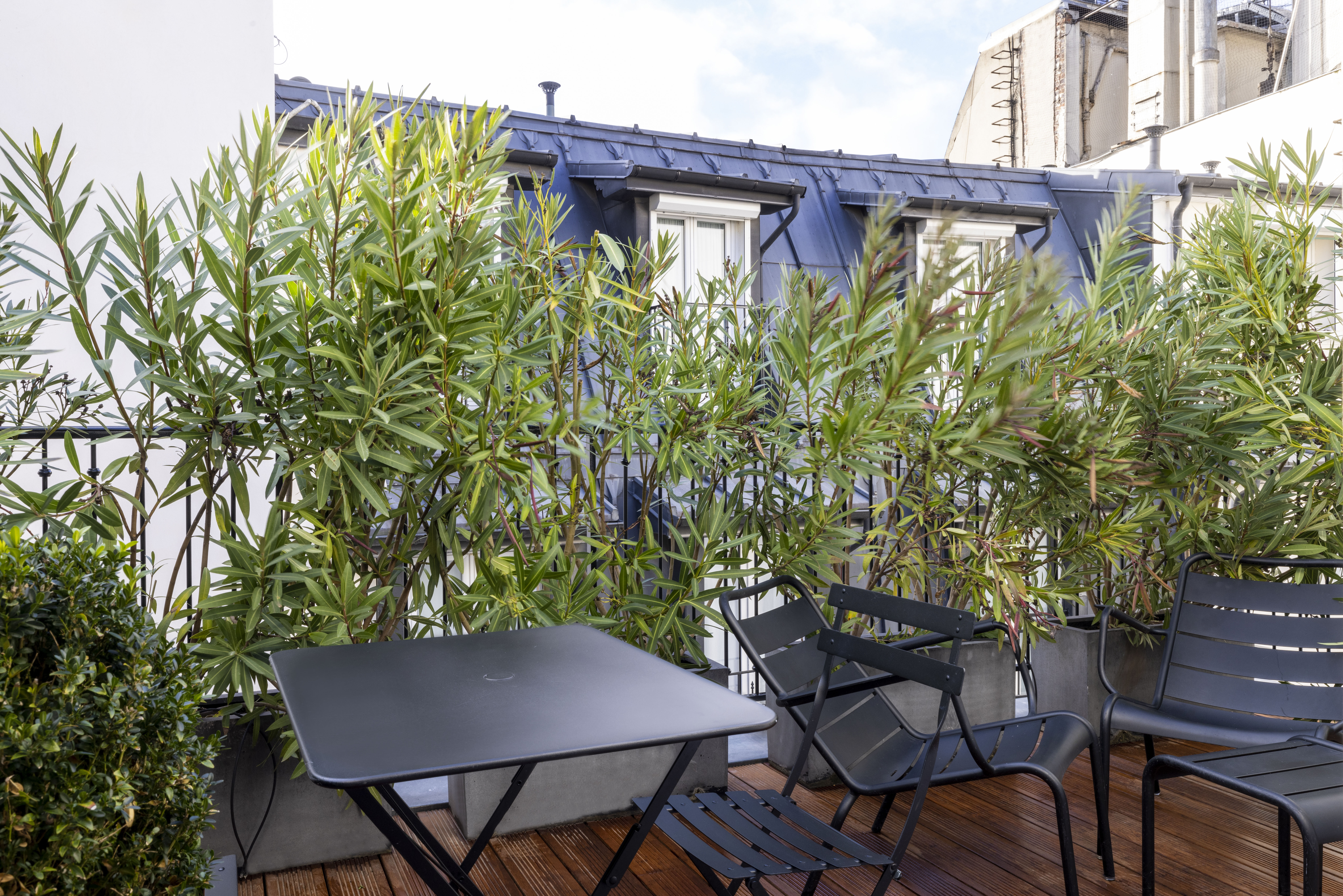 Room Superior with Terrace