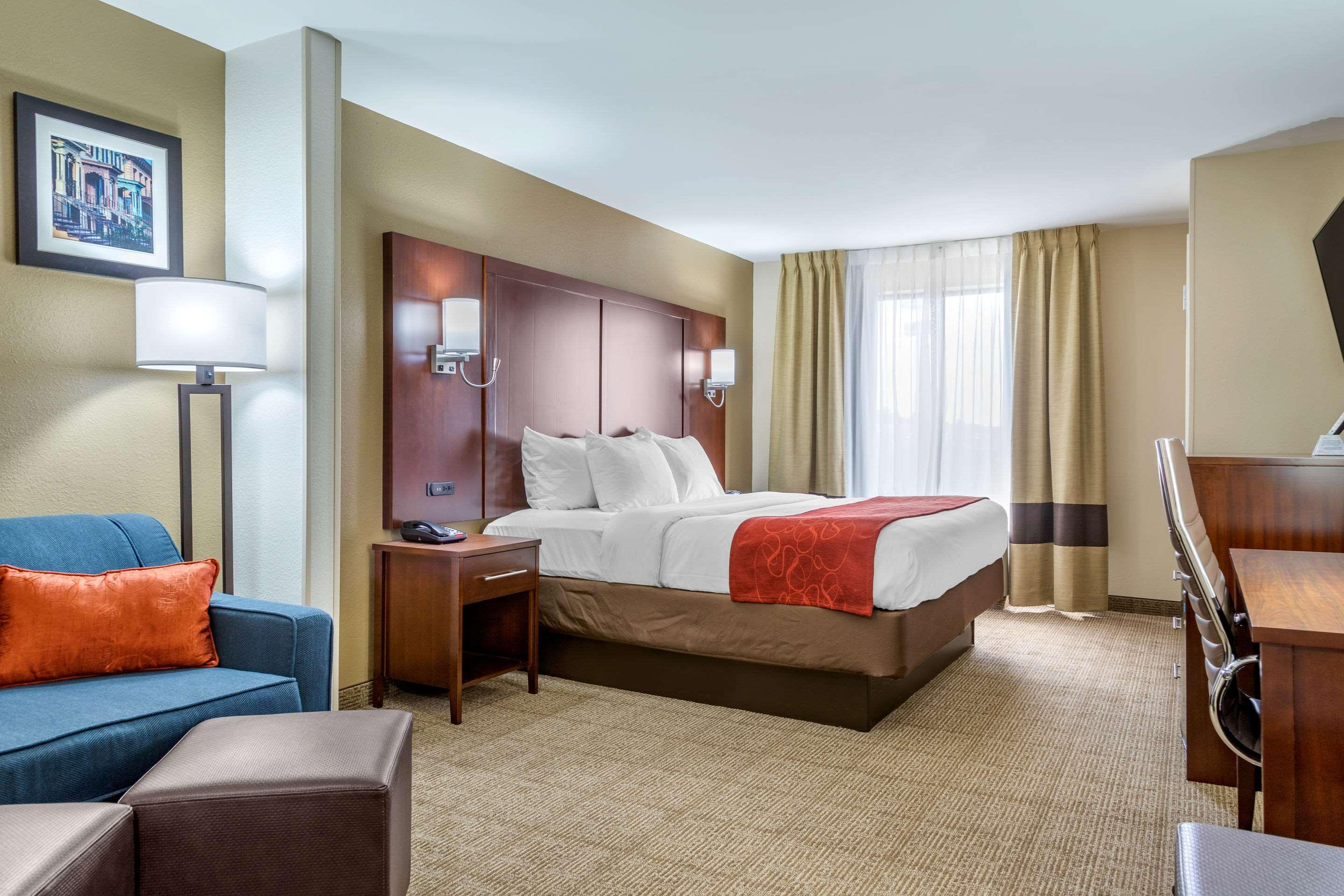 Suite King Bed Non Smoking