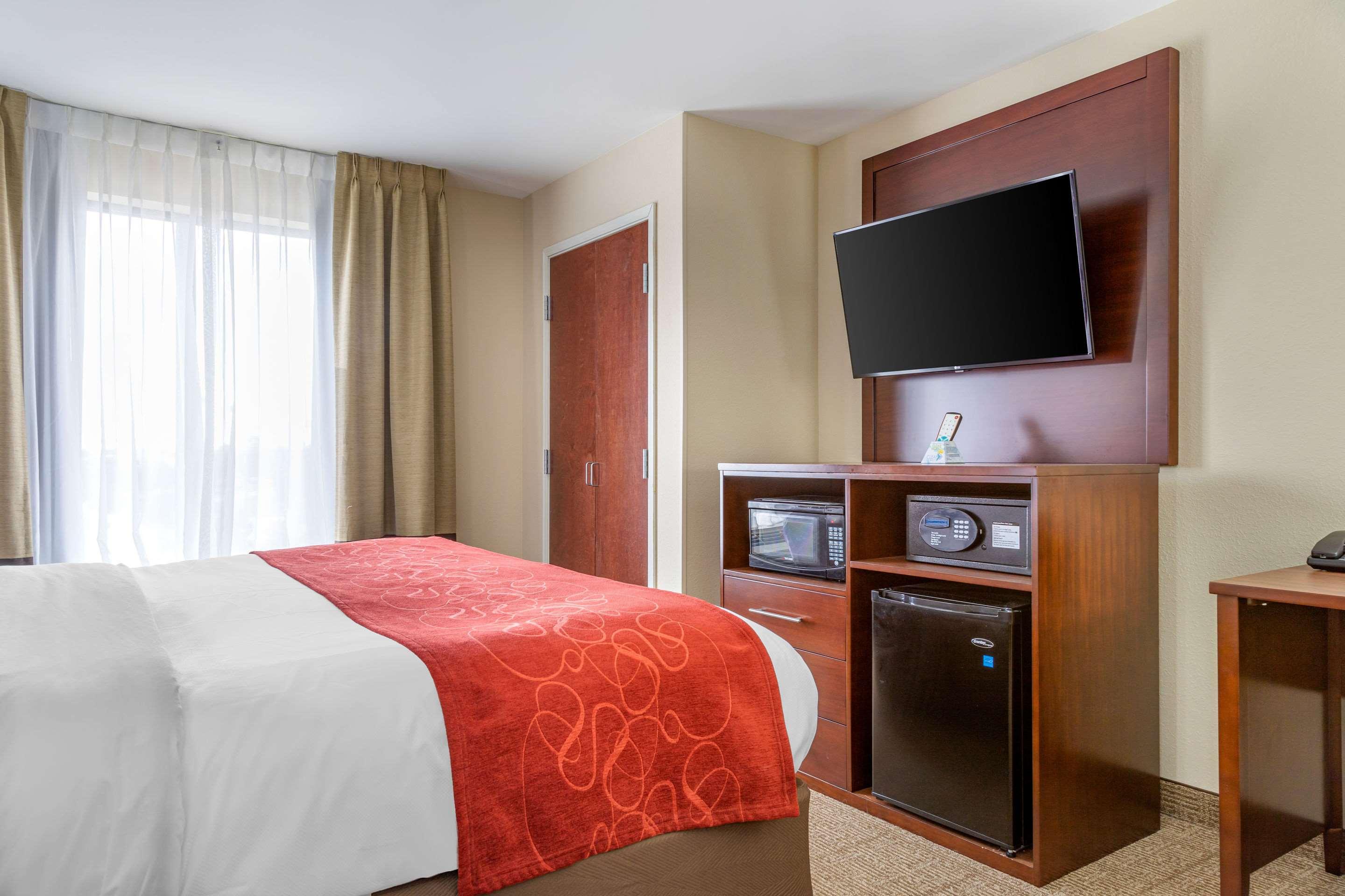 Suite King Bed Non Smoking