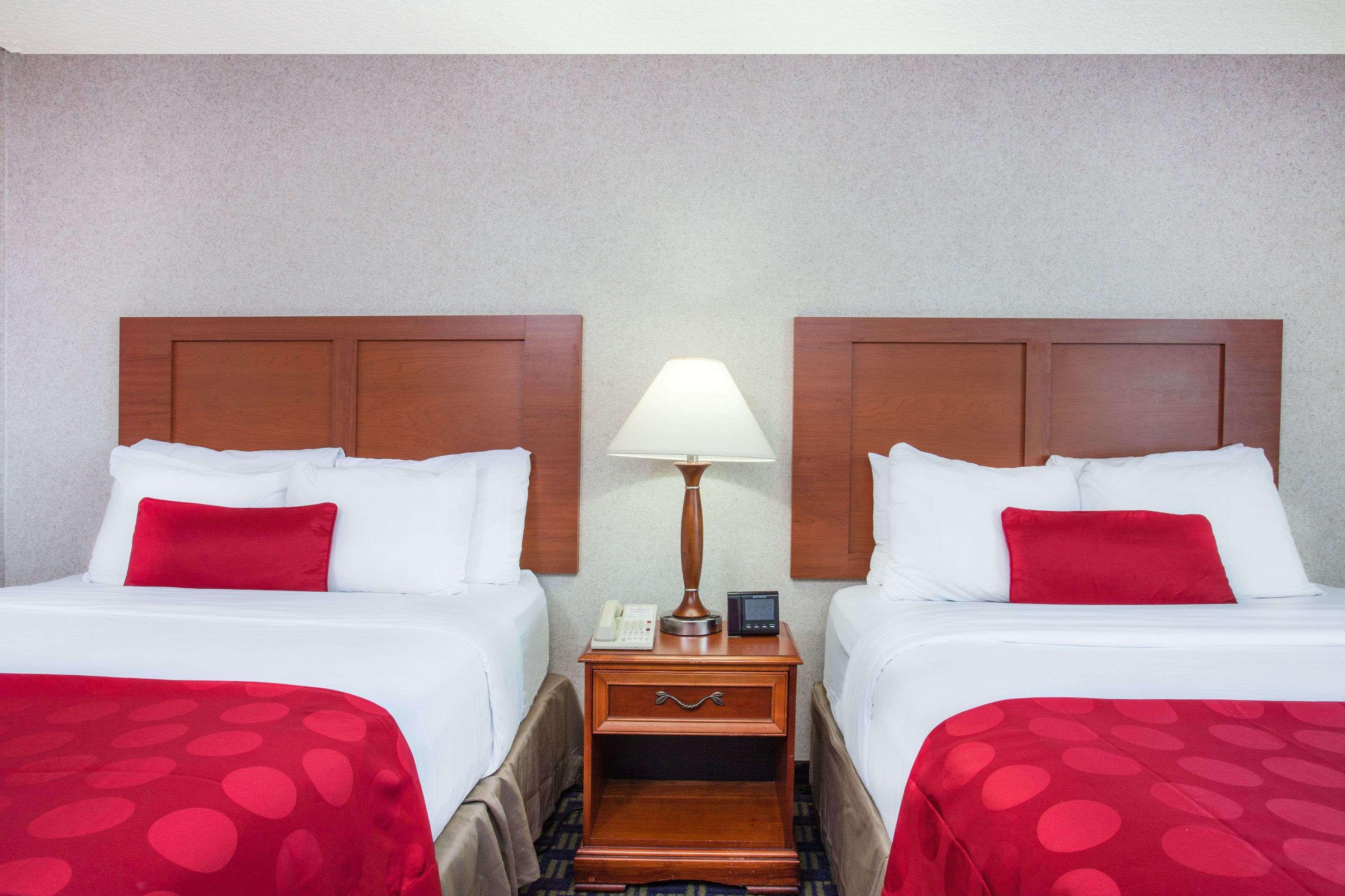 Quadruple Two Queen Beds