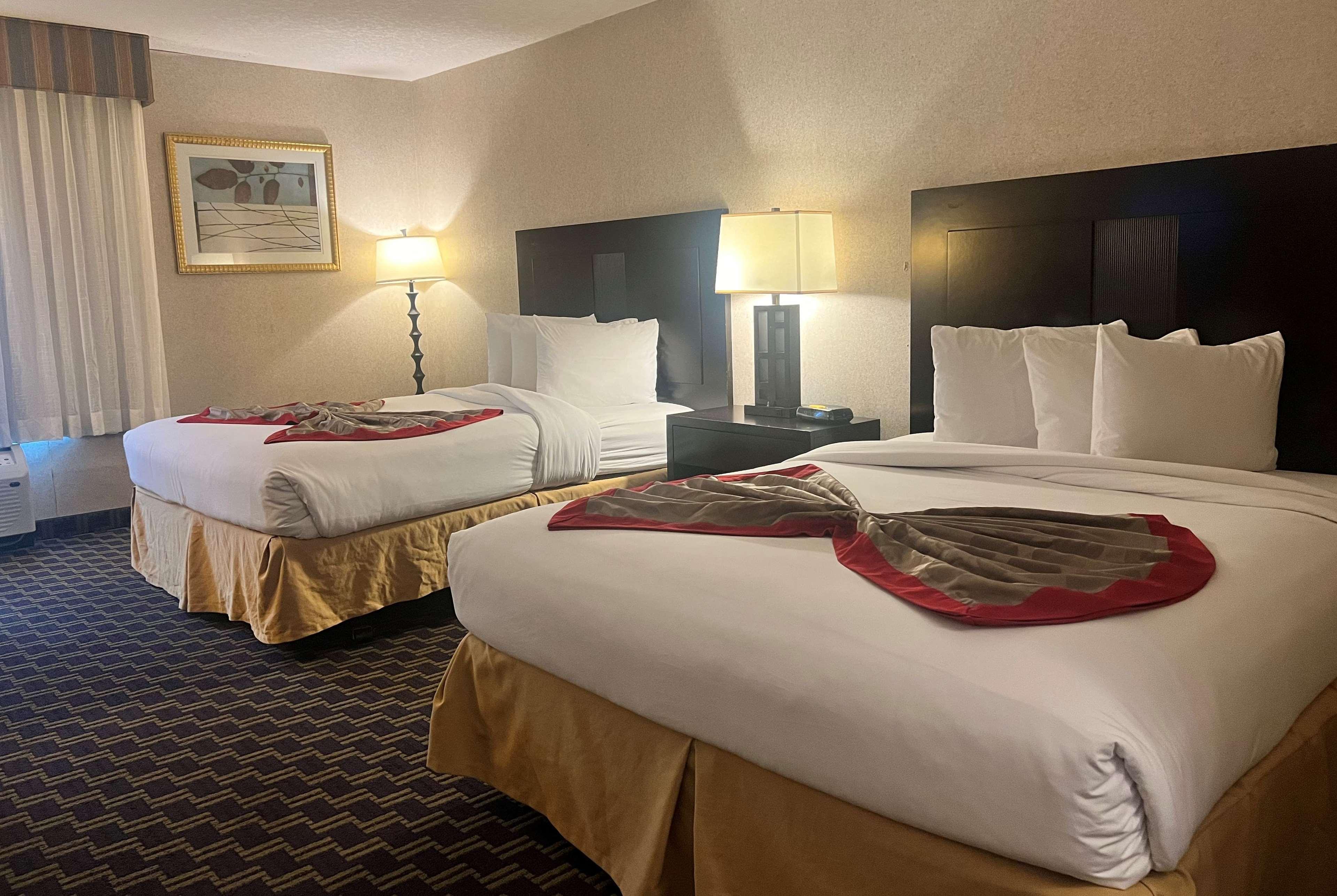 Quadruple Two Queen Beds