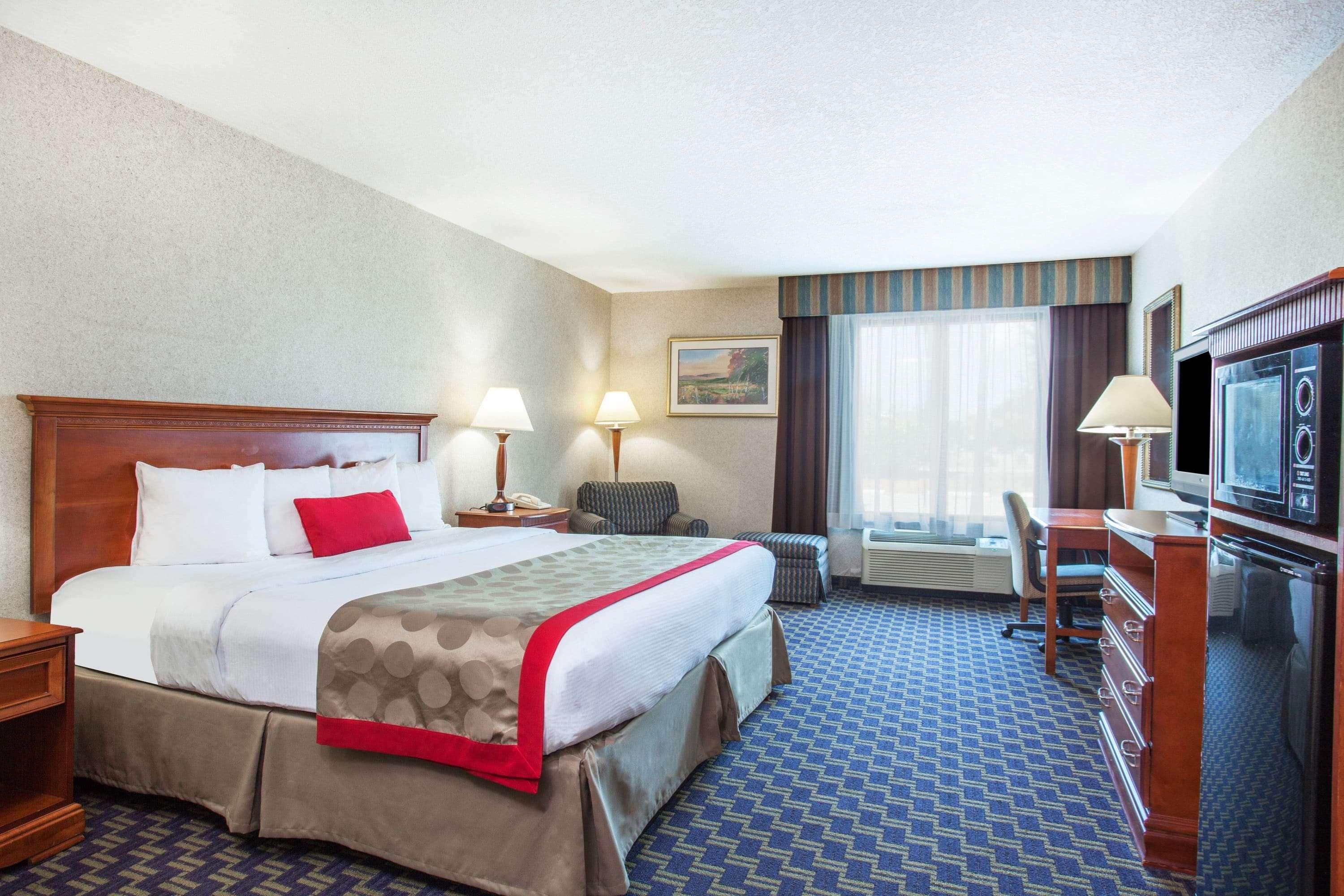 Double King Bed Non Smoking