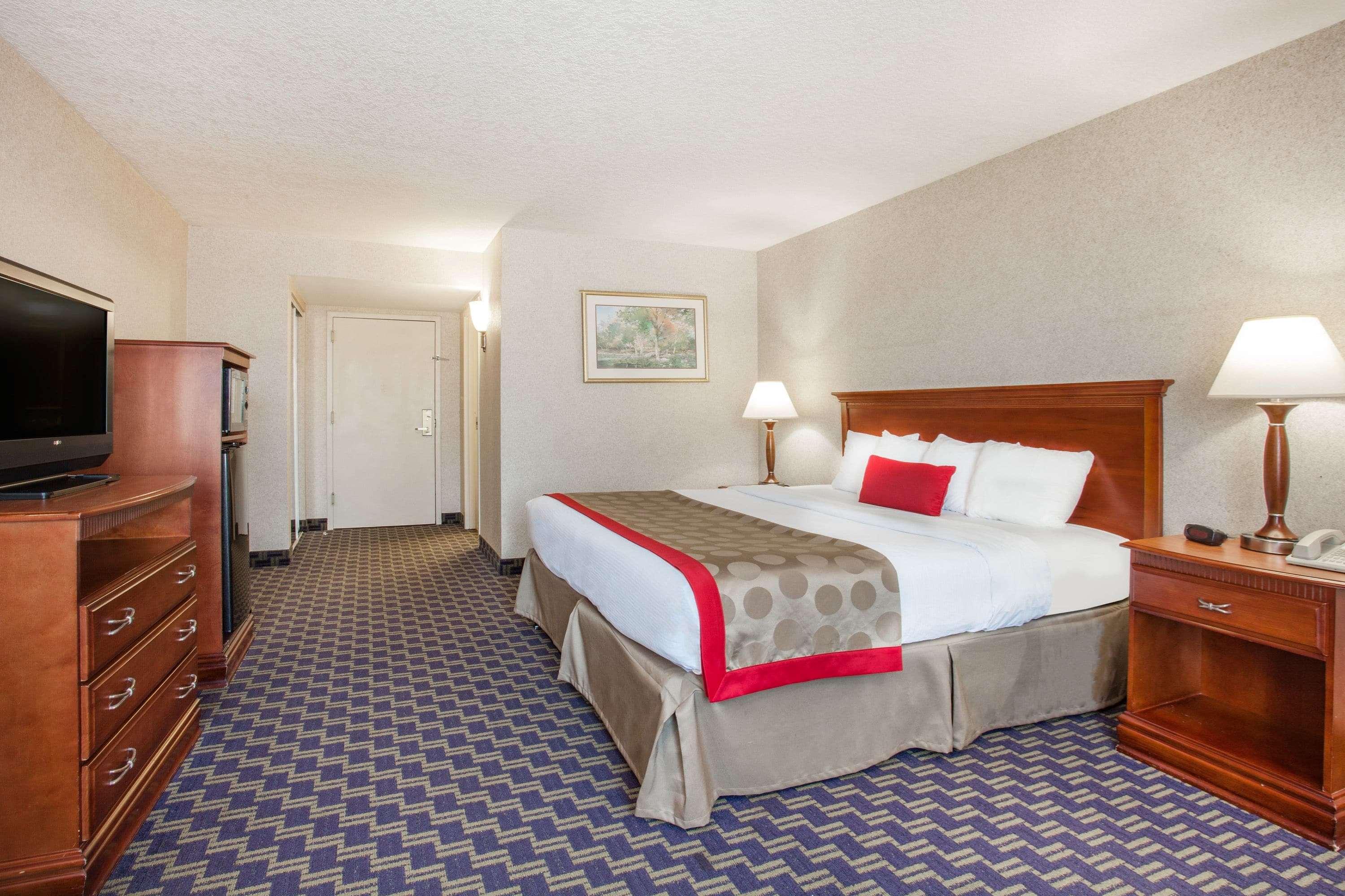 Double King Bed Non Smoking