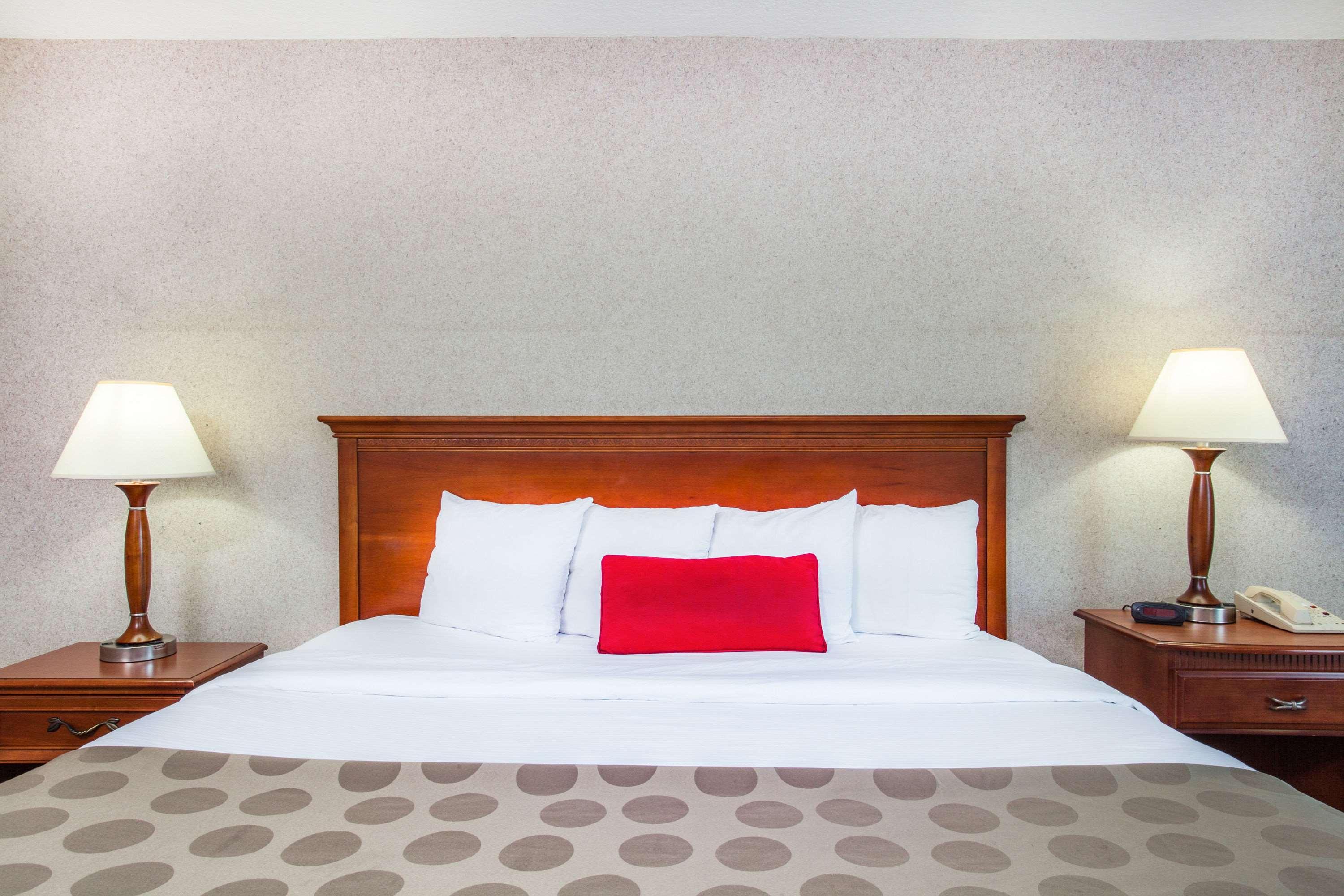 Double King Bed Non Smoking