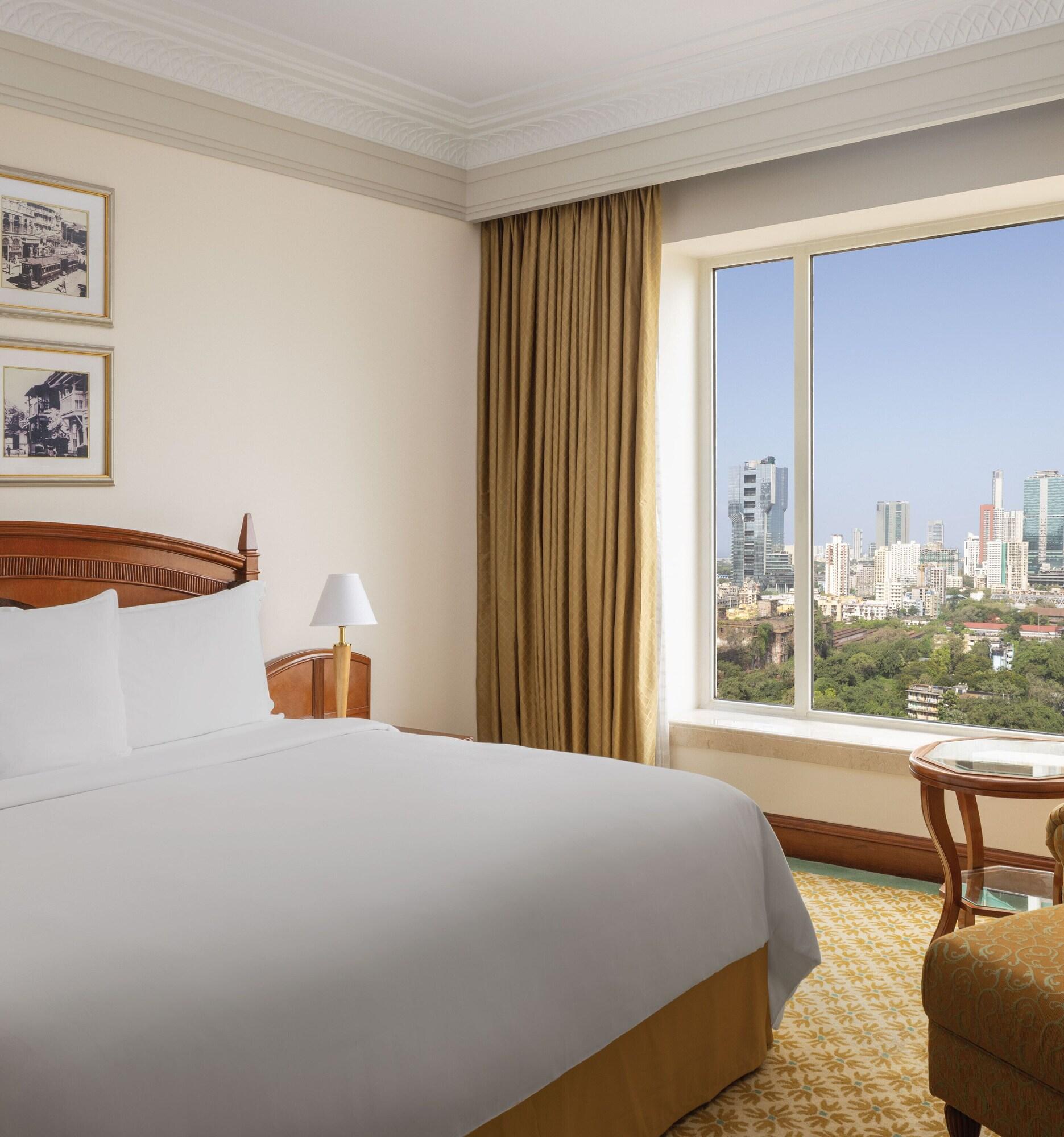 Double Executive City View