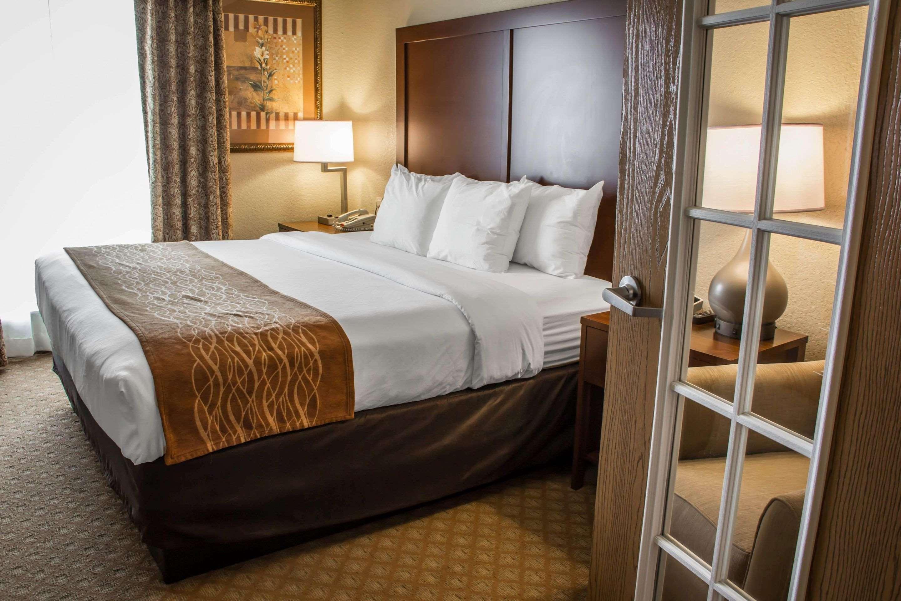 Suite King Bed Non Smoking