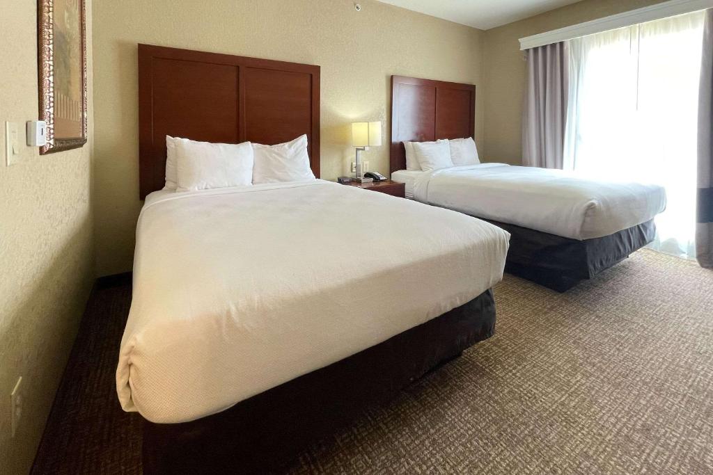 Double Two King Beds