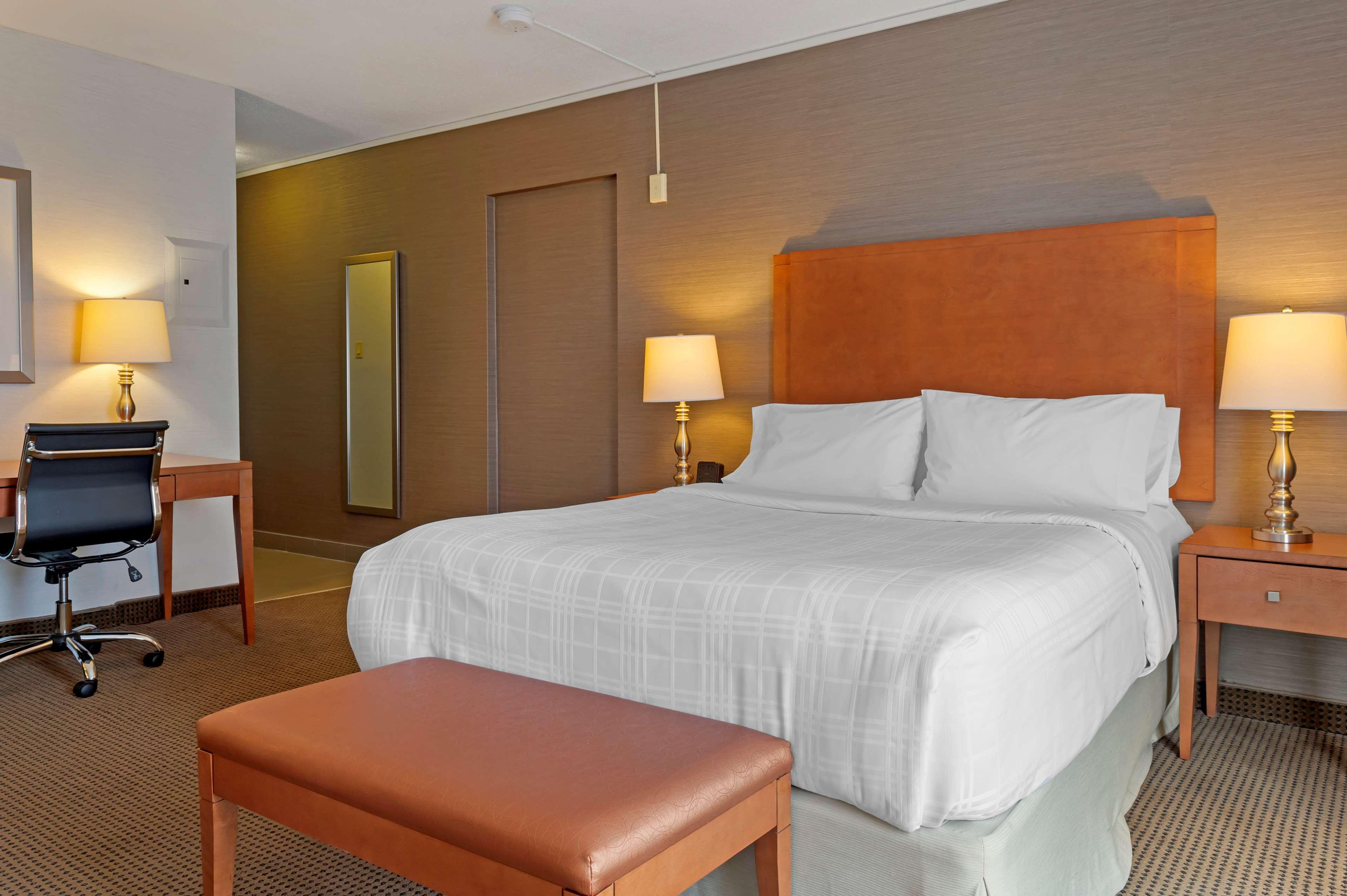 Suite Queen Size Bed