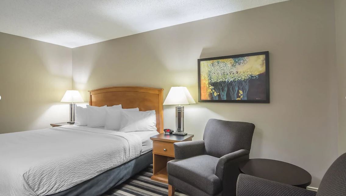 Double King Bed Non Smoking