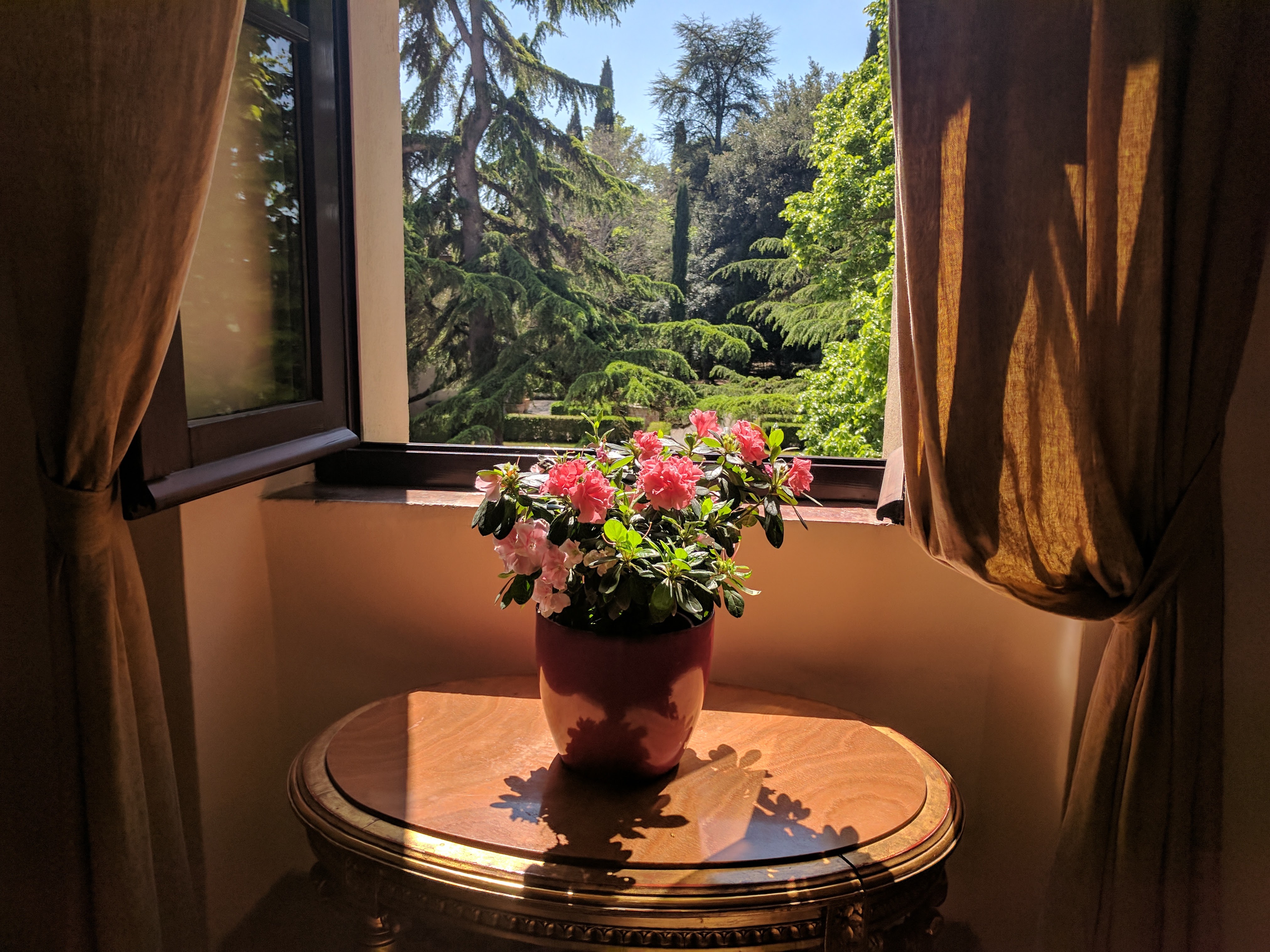 Double Single Classic