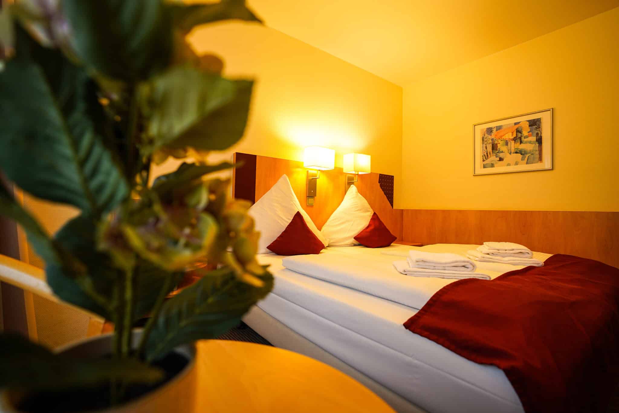 Double or Twin Business